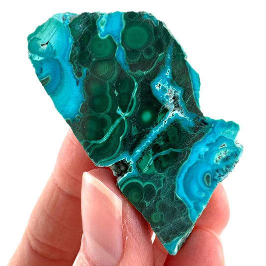 Malachite & Chrysocolla Slice | Polished Malacolla Crystal Slab