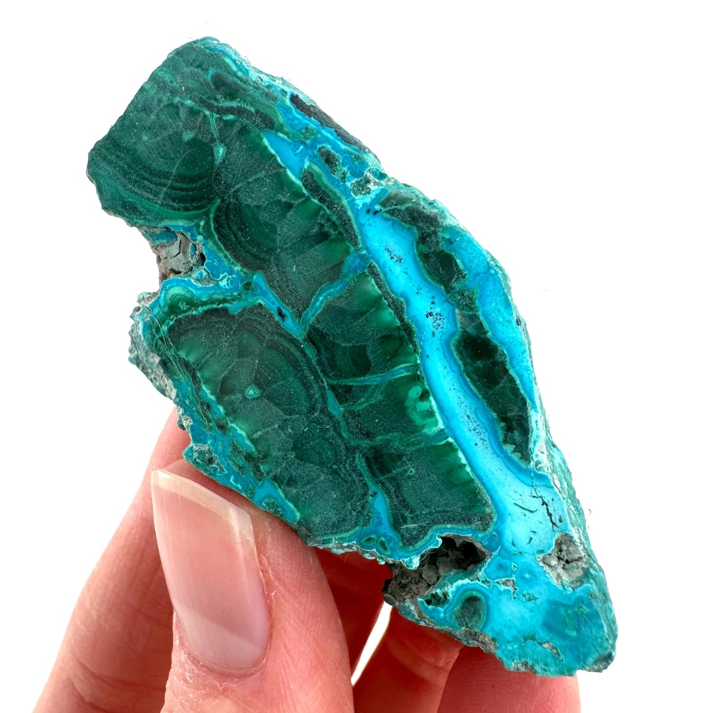 Malachite & Chrysocolla Slice | Polished Malacolla Crystal Slab