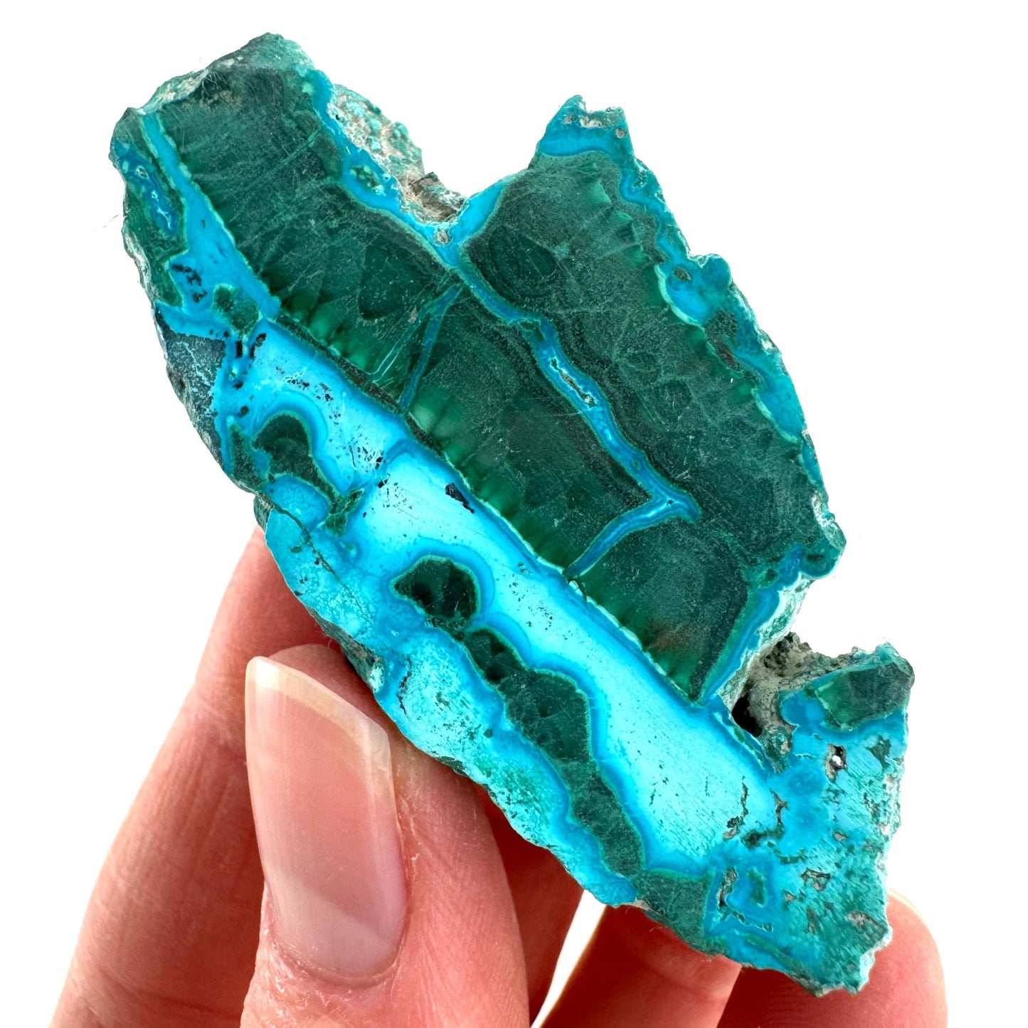 Malachite & Chrysocolla Slice | Polished Malacolla Crystal Slab