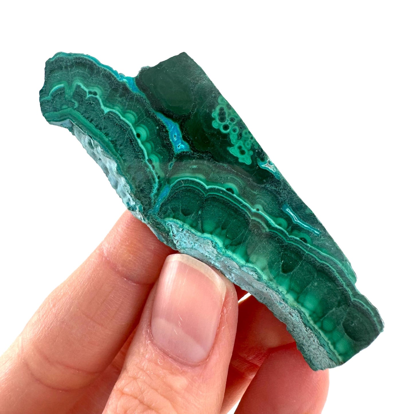 Malachite & Chrysocolla Slice | Polished Malacolla Crystal Slab