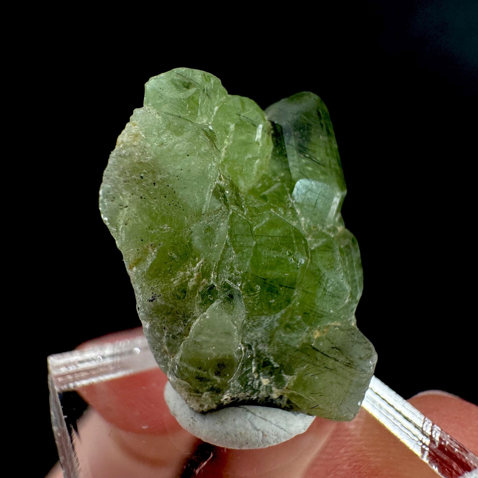 Peridot | natural terminated crystal, mineral specimen from Pakistan