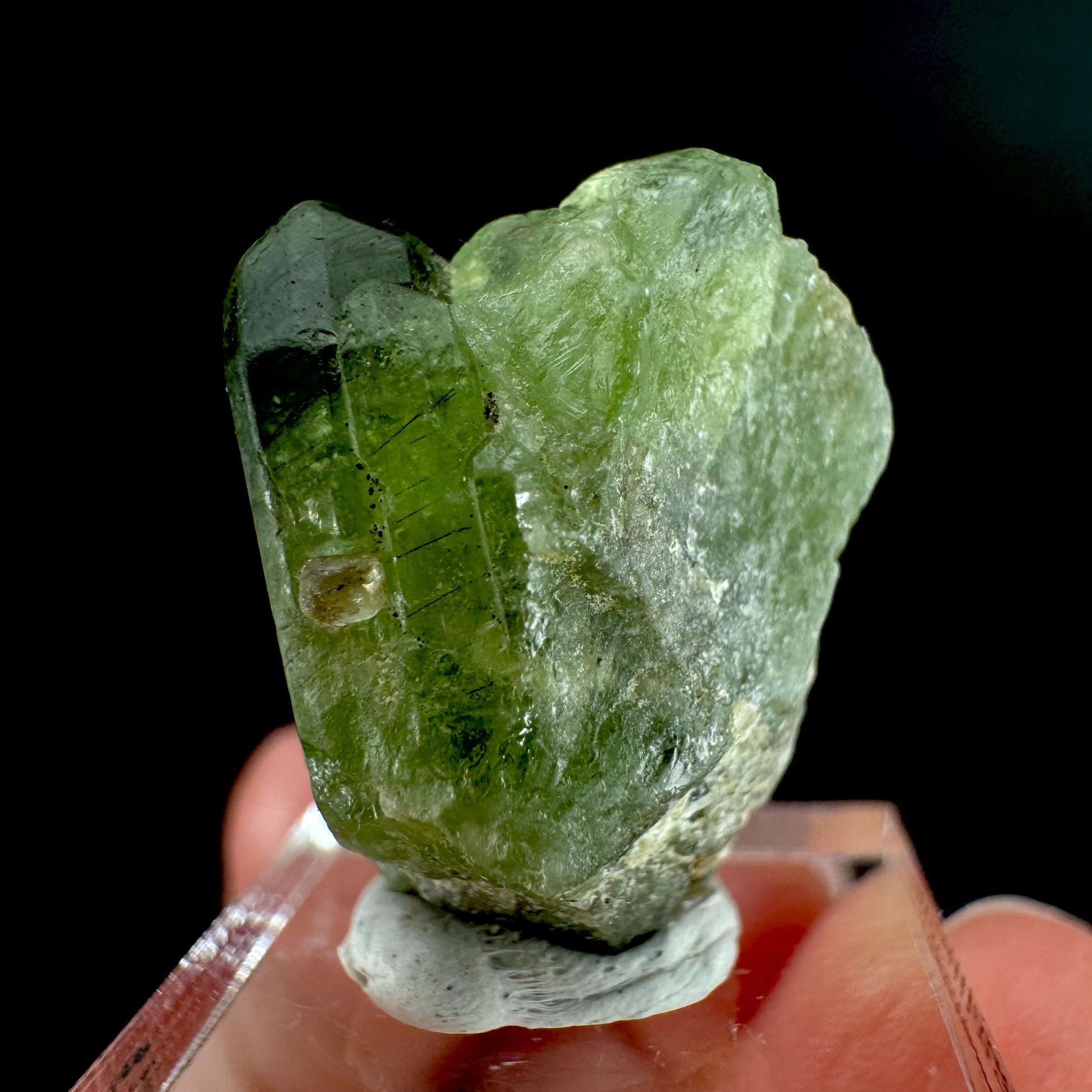 Peridot | natural terminated crystal, mineral specimen from Pakistan