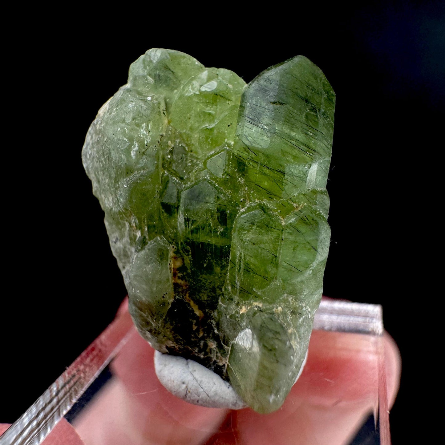 Peridot | natural terminated crystal, mineral specimen from Pakistan