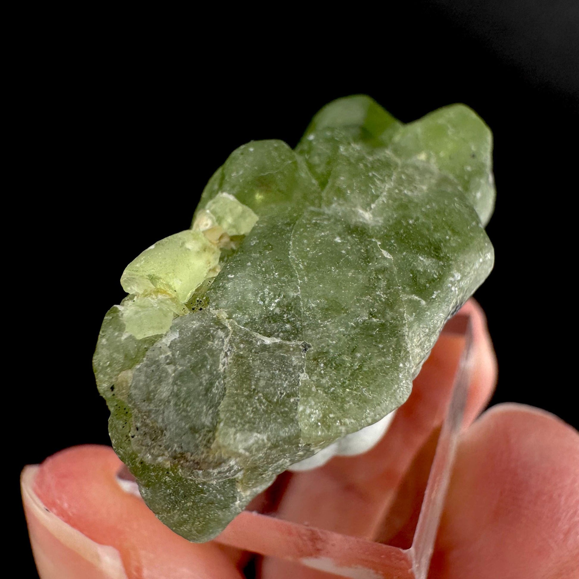 Peridot | natural terminated crystal, mineral specimen from Pakistan