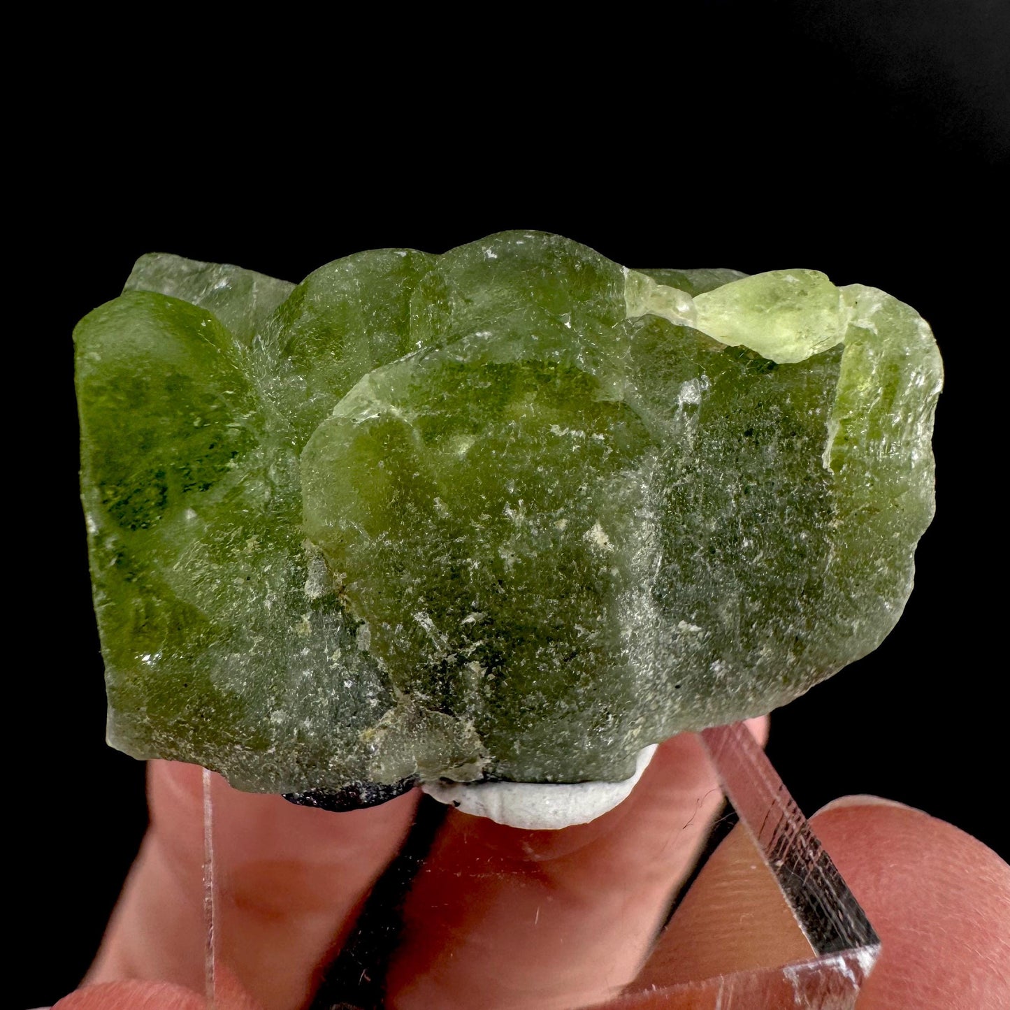 Peridot | natural terminated crystal, mineral specimen from Pakistan