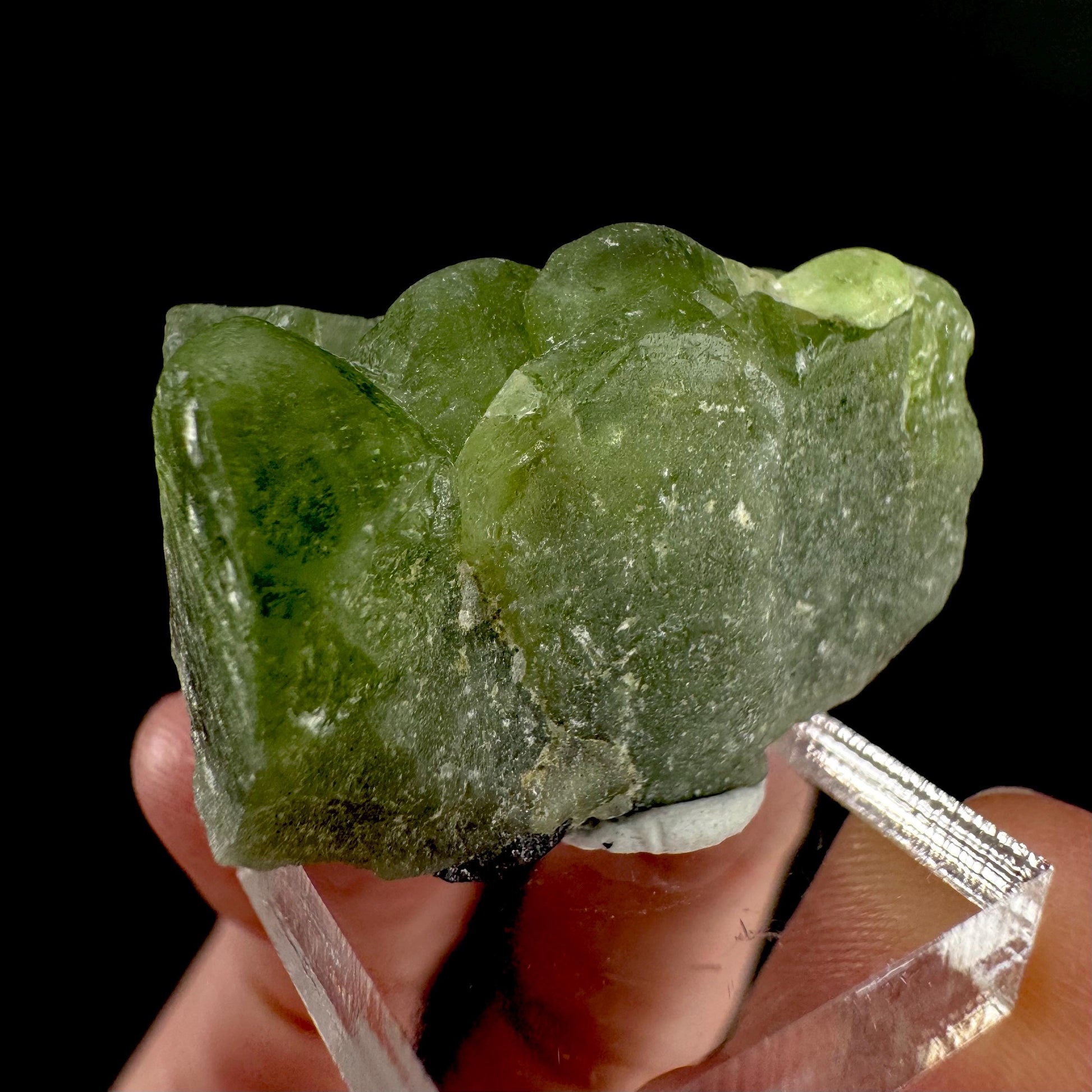 Peridot | natural terminated crystal, mineral specimen from Pakistan