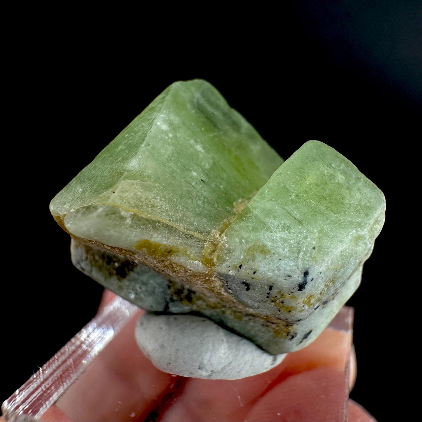 Peridot | natural terminated crystal, mineral specimen from Pakistan