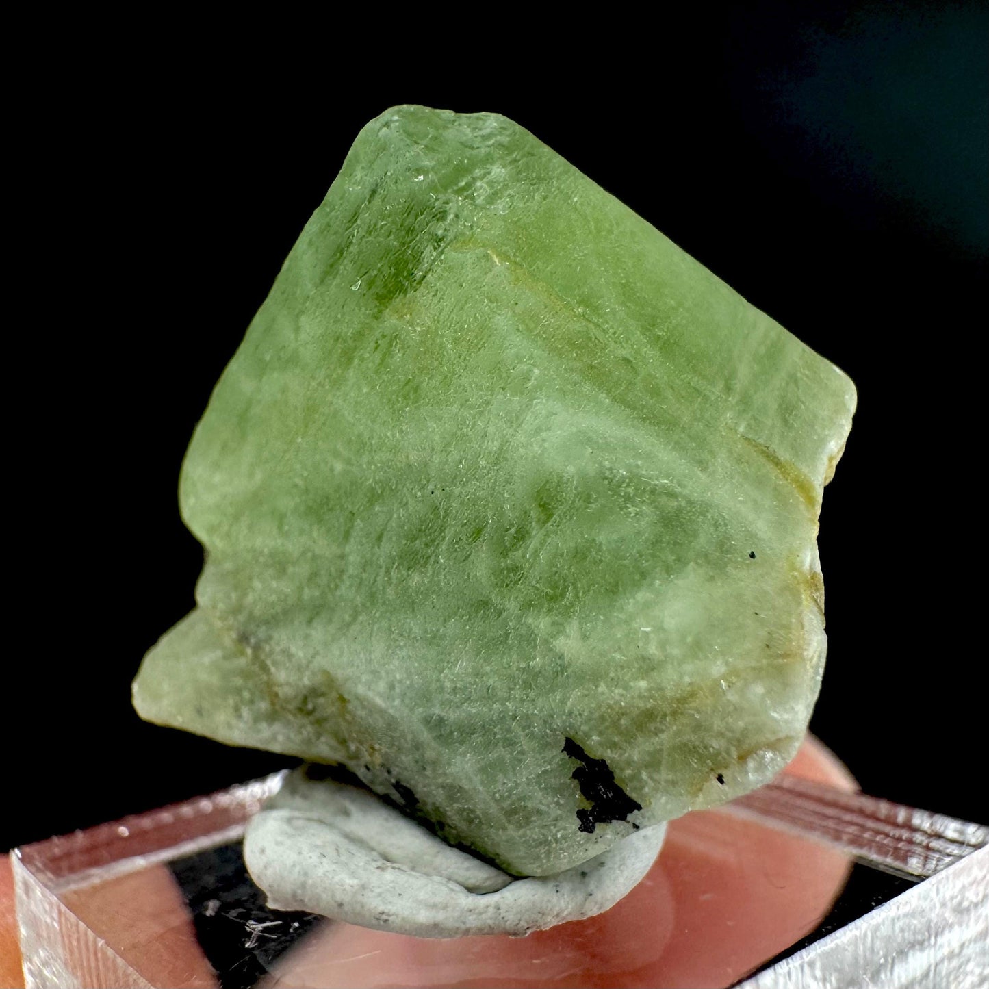 Peridot | natural terminated crystal, mineral specimen from Pakistan