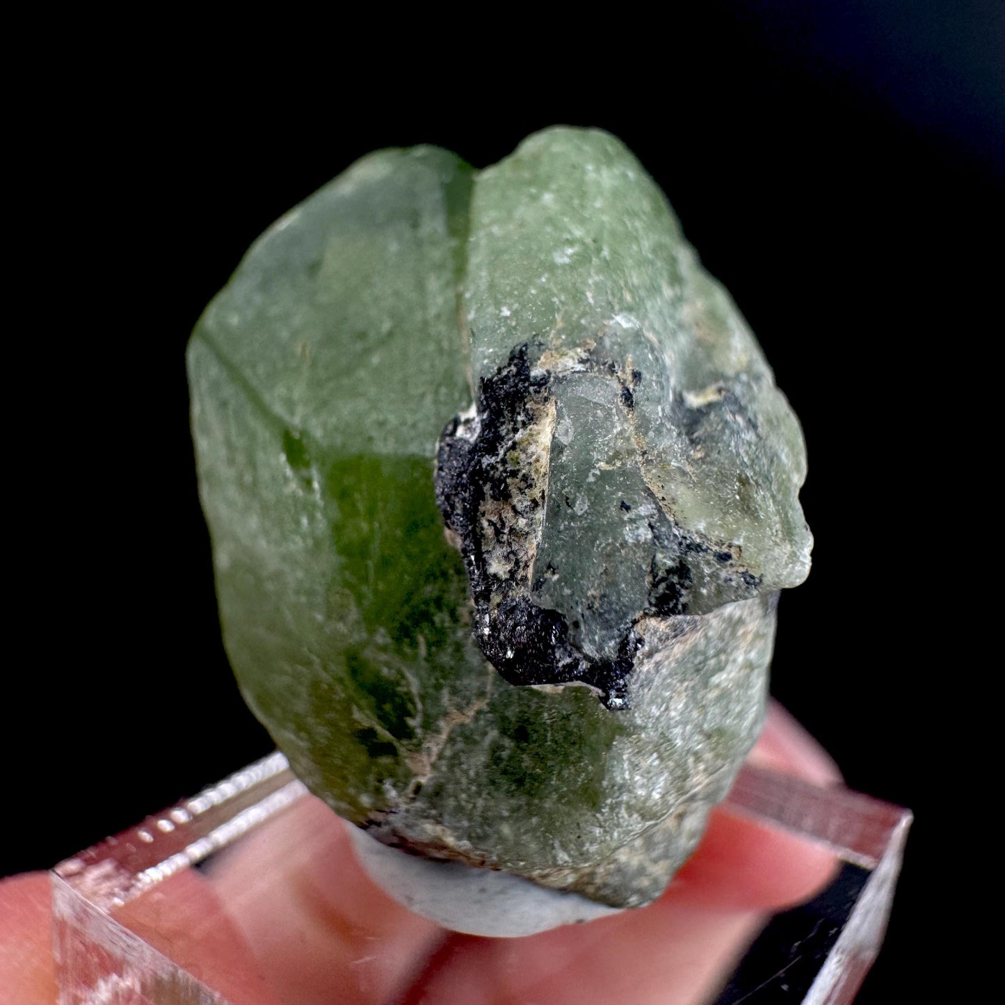 Peridot | natural terminated crystal, mineral specimen from Pakistan