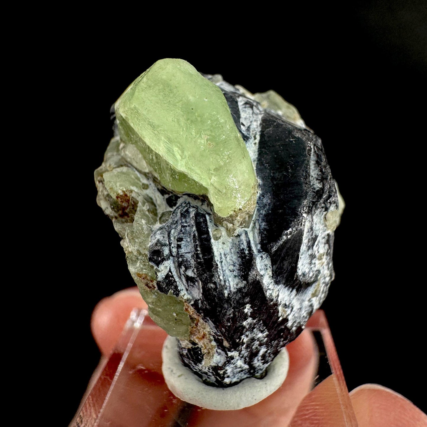 Peridot w/ magnetite | natural terminated crystal, mineral specimen from Pakistan