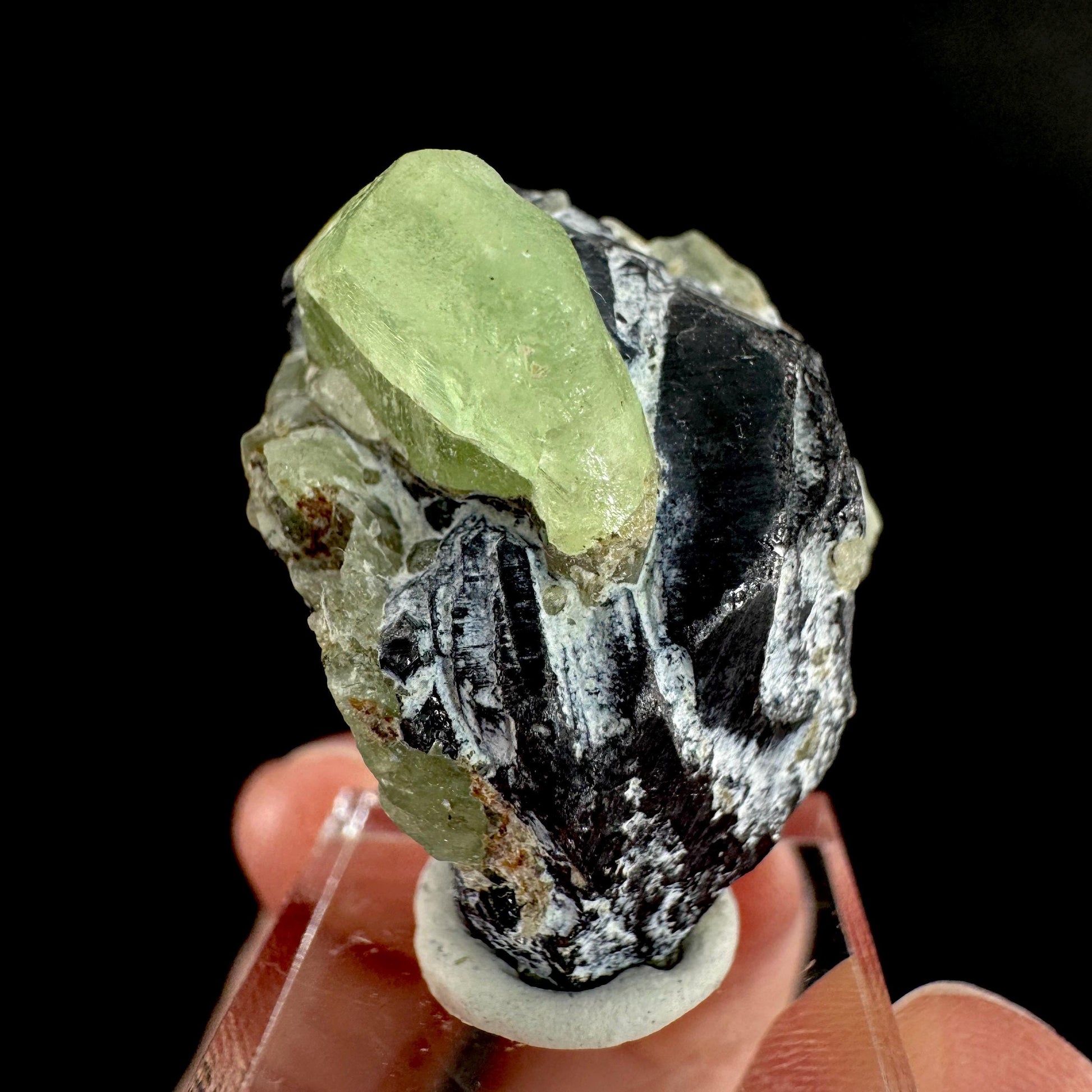 Peridot w/ magnetite | natural terminated crystal, mineral specimen from Pakistan