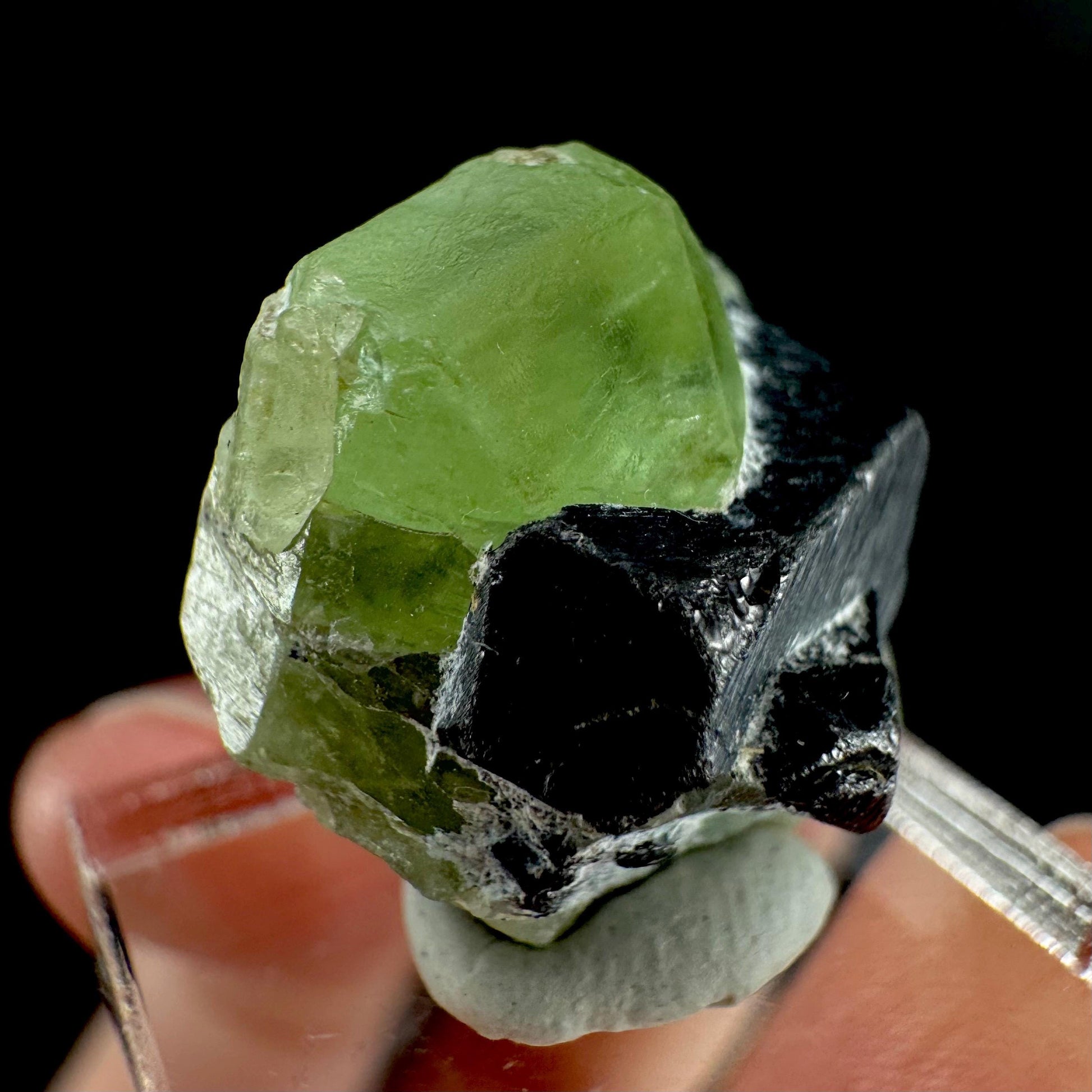Peridot w/ magnetite | natural terminated crystal, mineral specimen from Pakistan