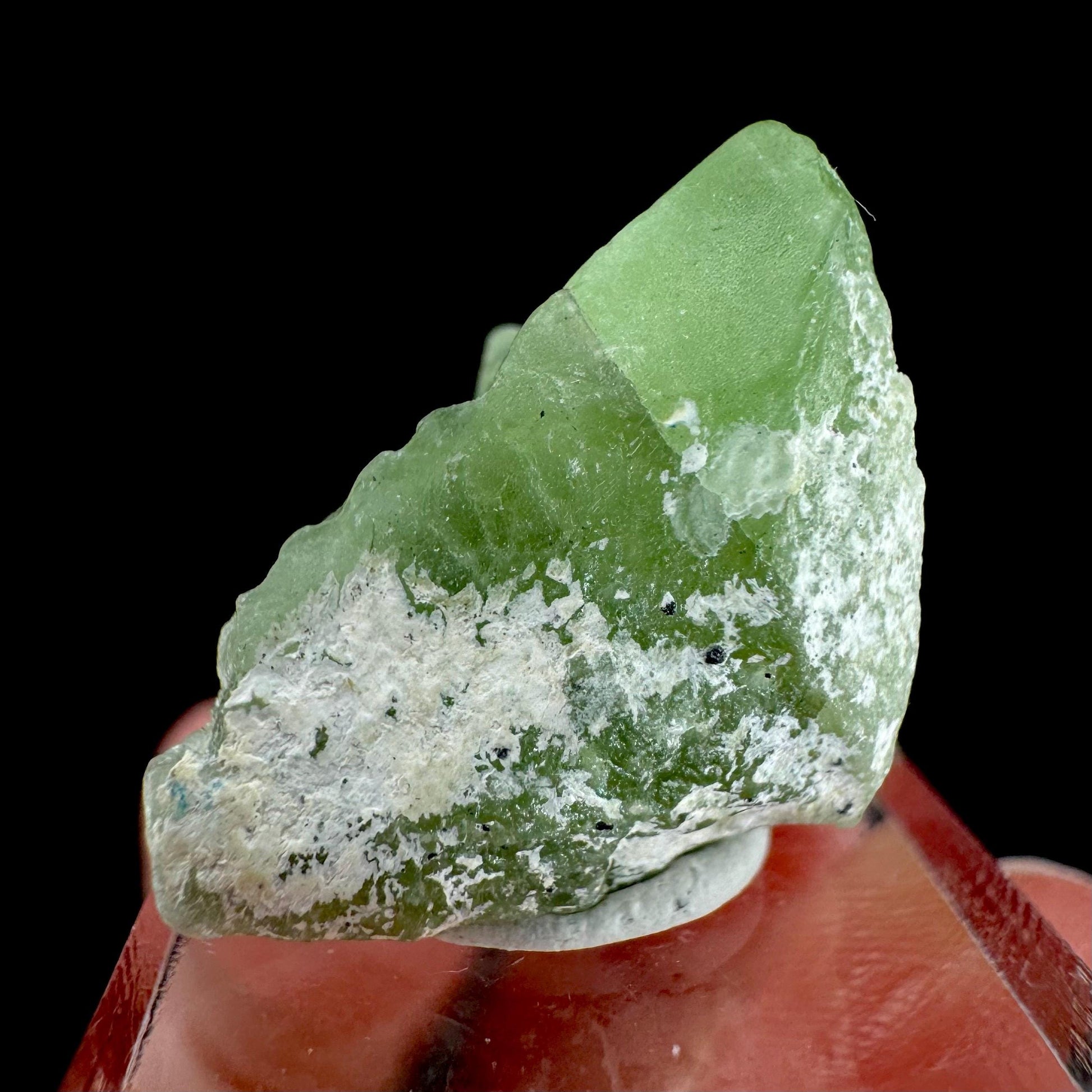 Peridot | natural terminated crystal, mineral specimen from Pakistan