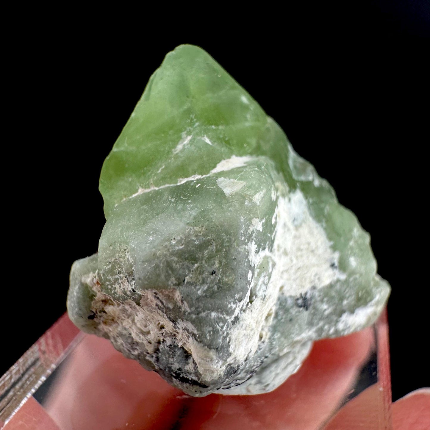 Peridot | natural terminated crystal, mineral specimen from Pakistan