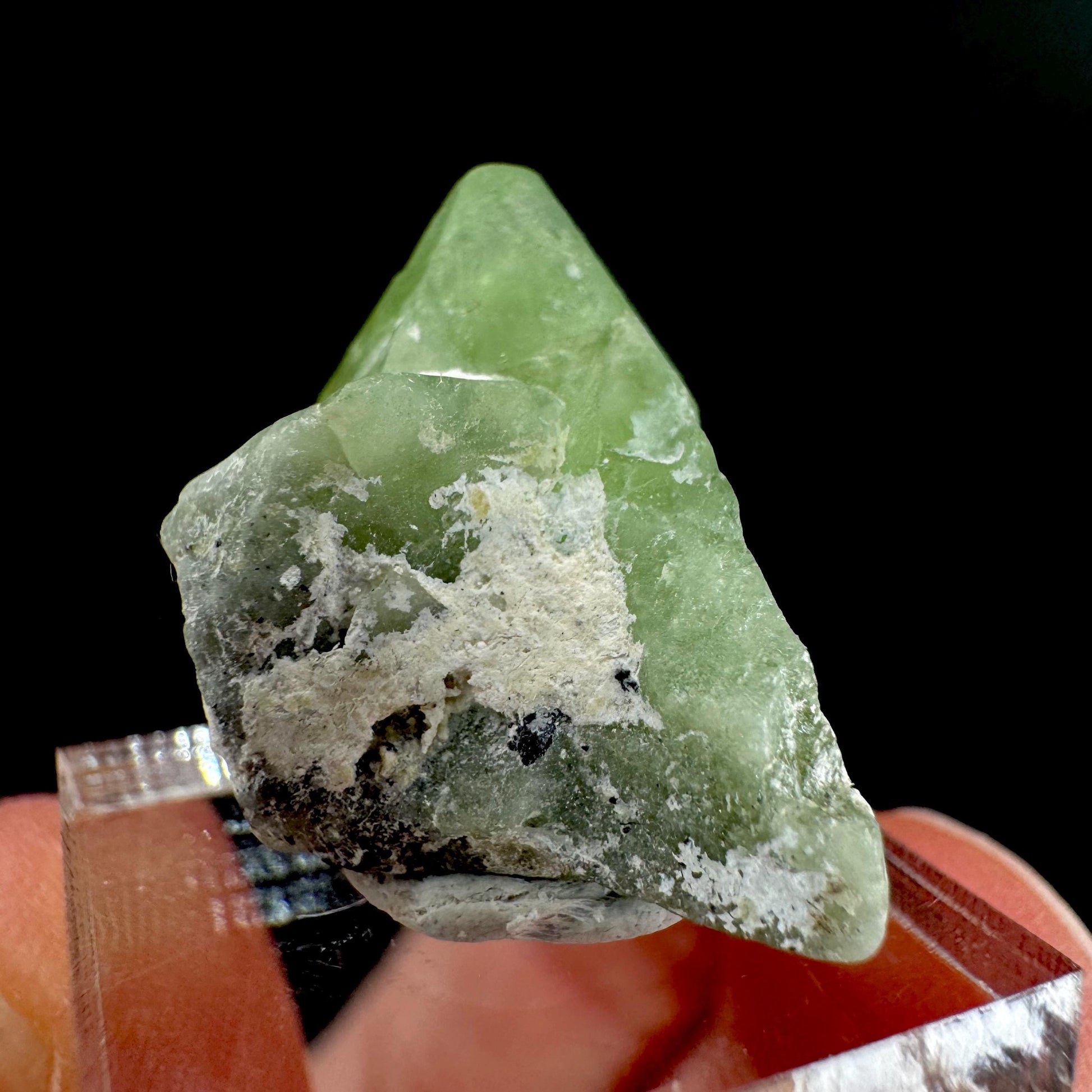 Peridot | natural terminated crystal, mineral specimen from Pakistan