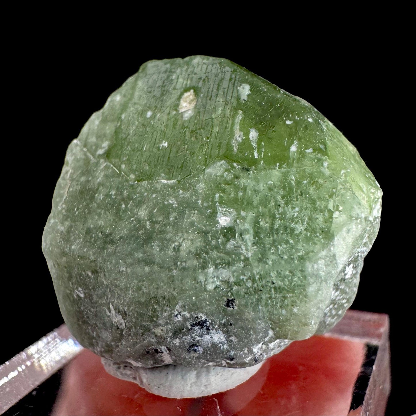 Peridot | natural terminated crystal, mineral specimen from Pakistan