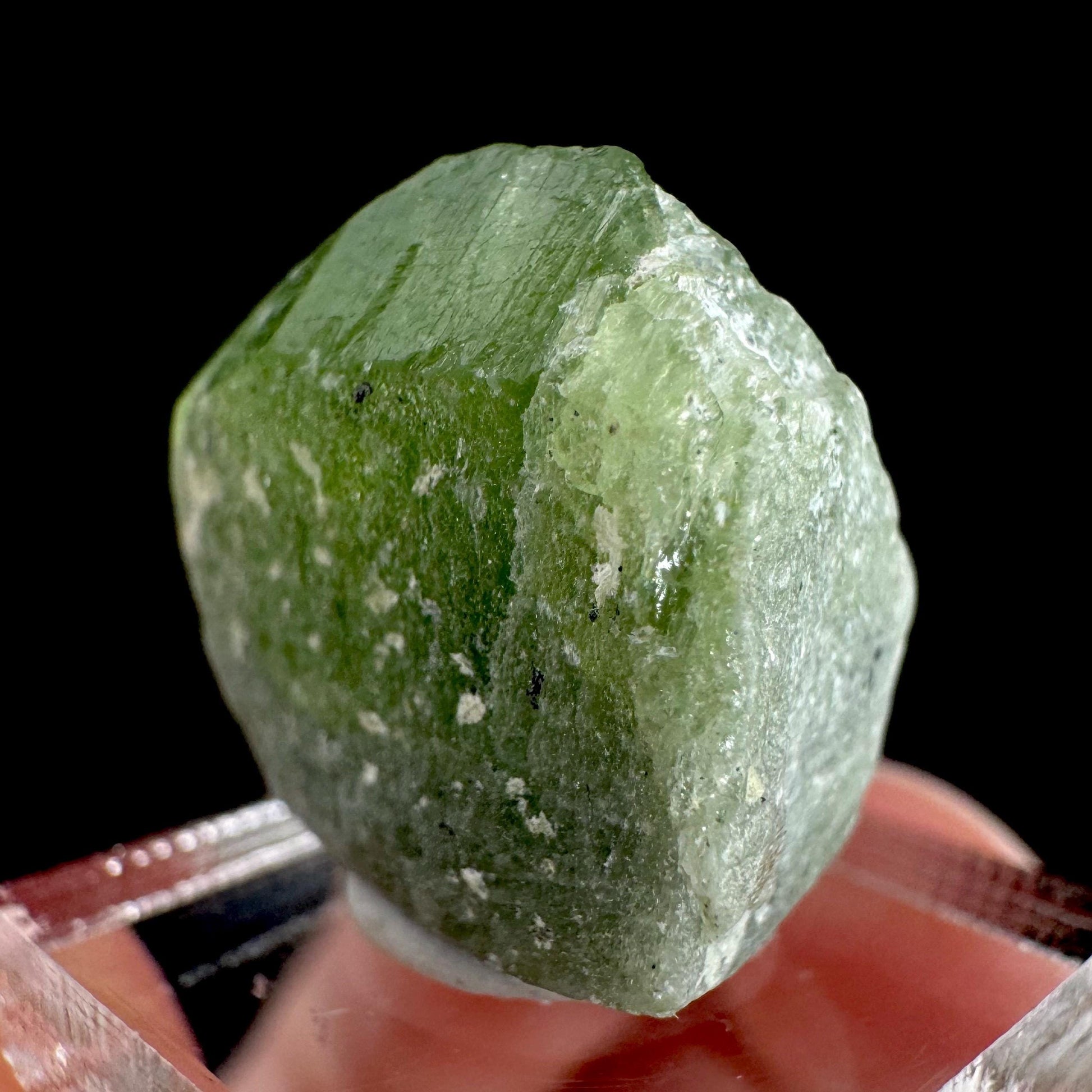 Peridot | natural terminated crystal, mineral specimen from Pakistan