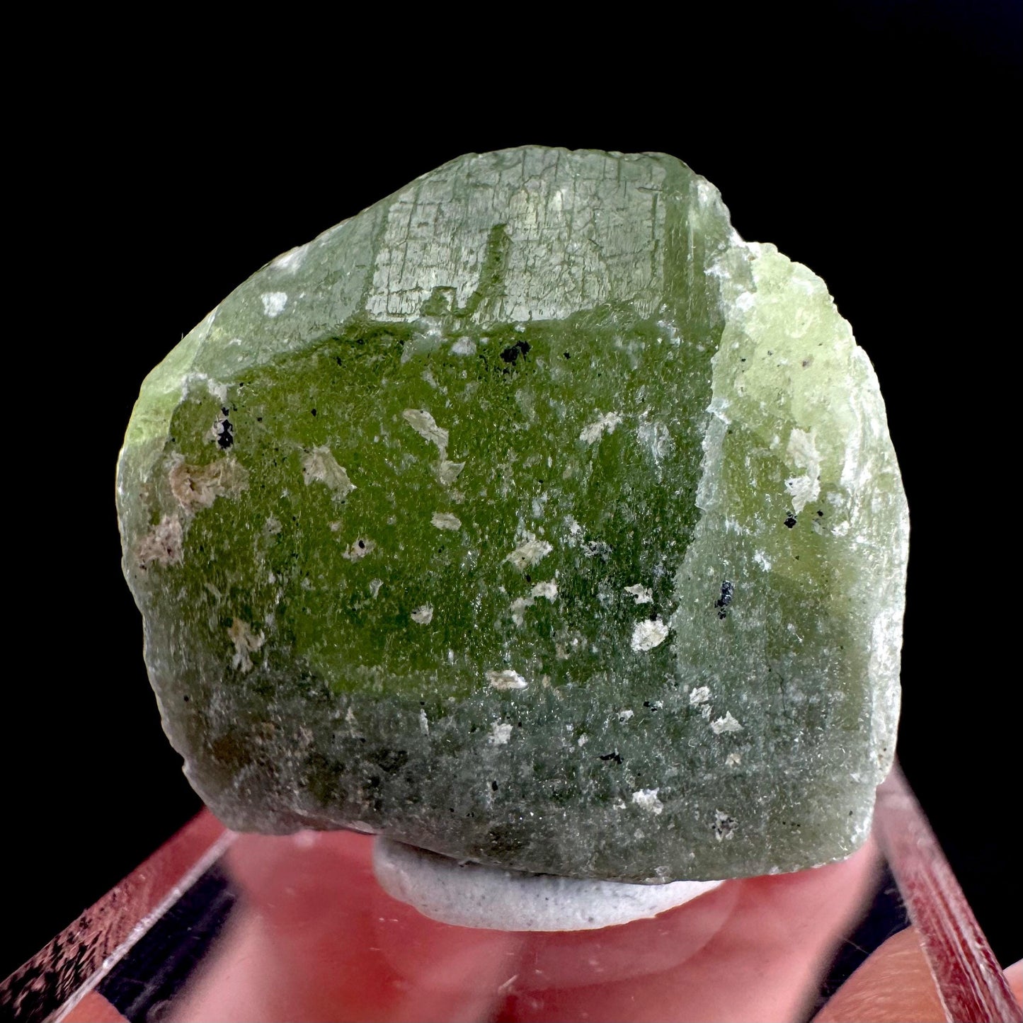Peridot | natural terminated crystal, mineral specimen from Pakistan