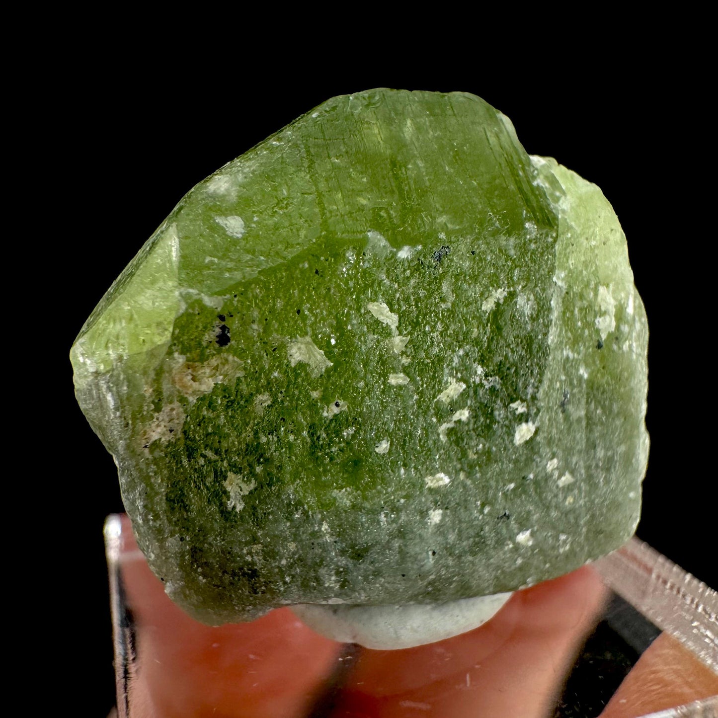 Peridot | natural terminated crystal, mineral specimen from Pakistan