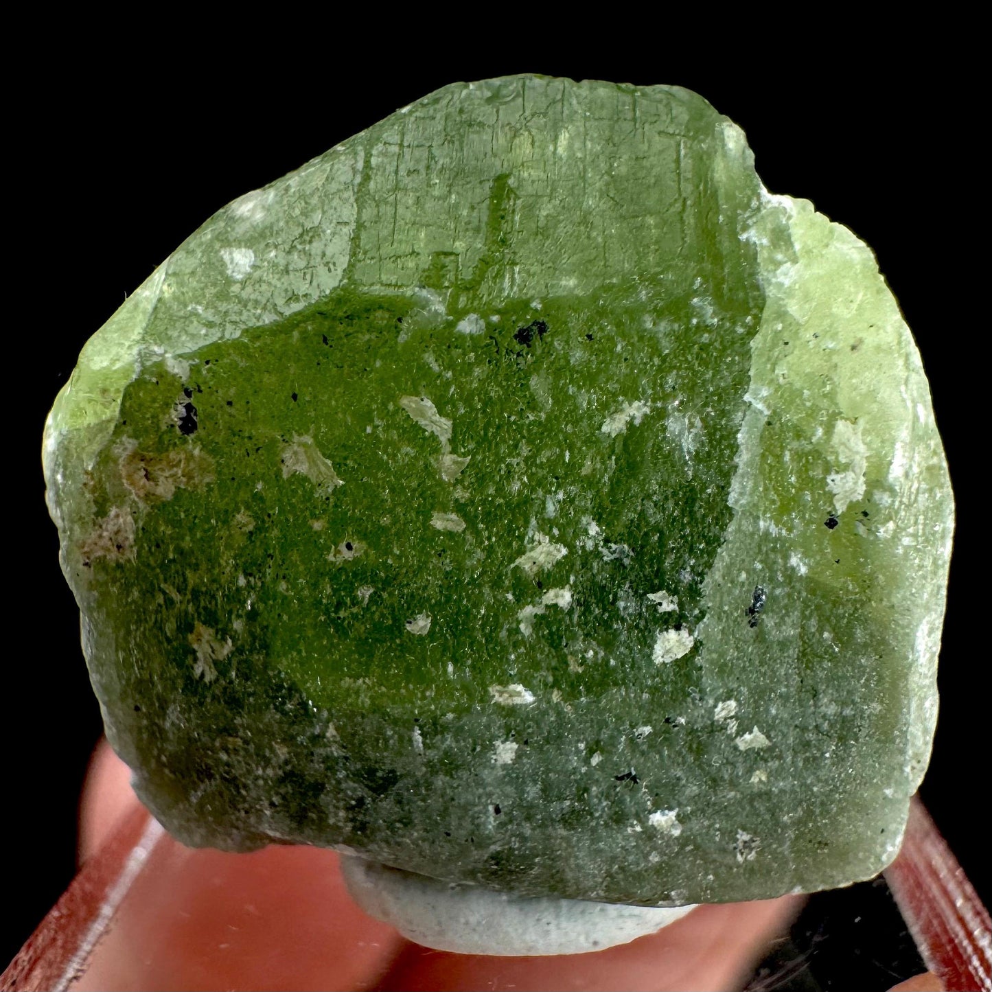 Peridot | natural terminated crystal, mineral specimen from Pakistan