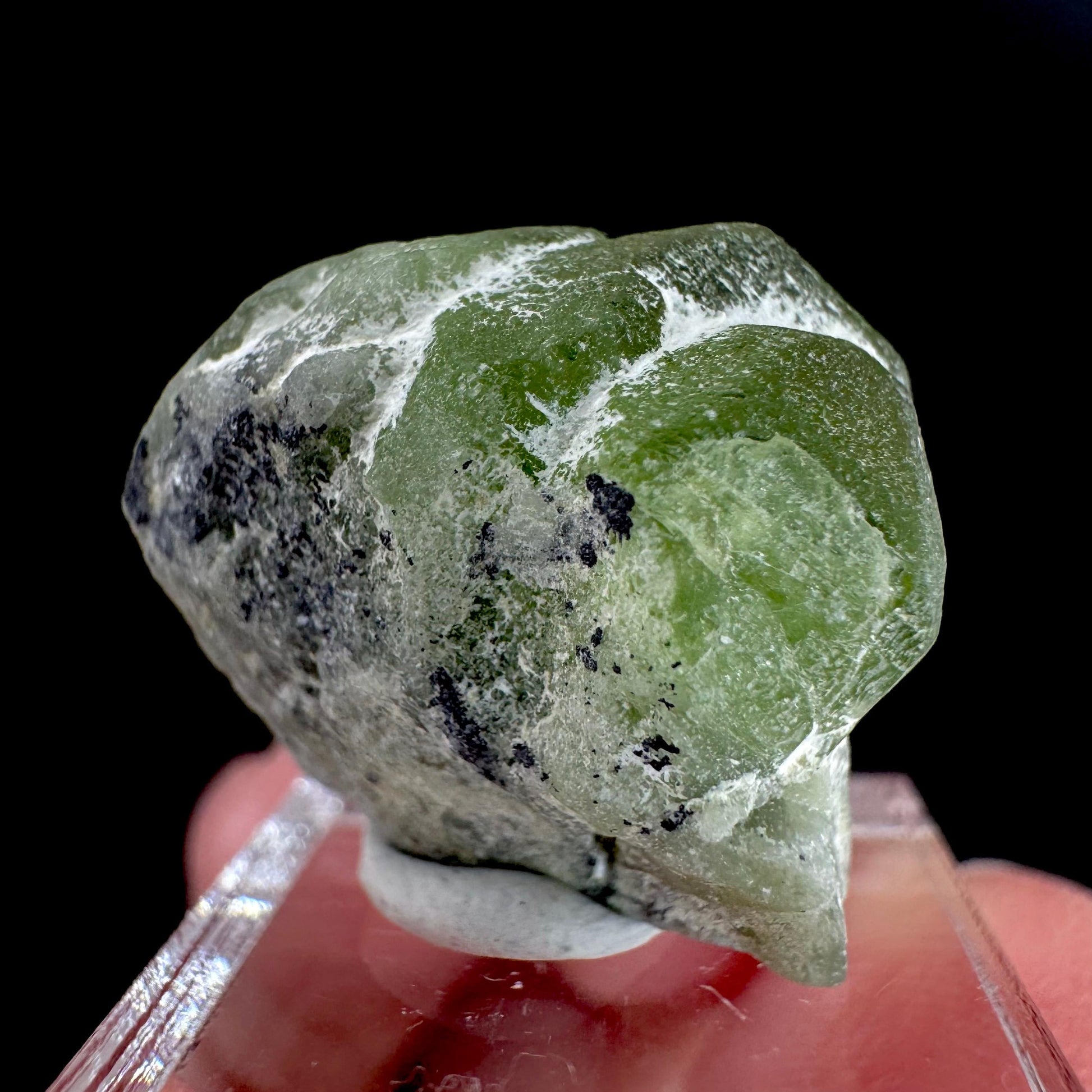 Peridot | natural terminated crystal, mineral specimen from Pakistan