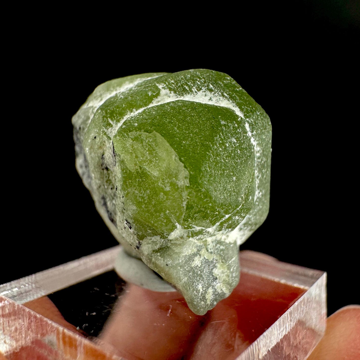 Peridot | natural terminated crystal, mineral specimen from Pakistan