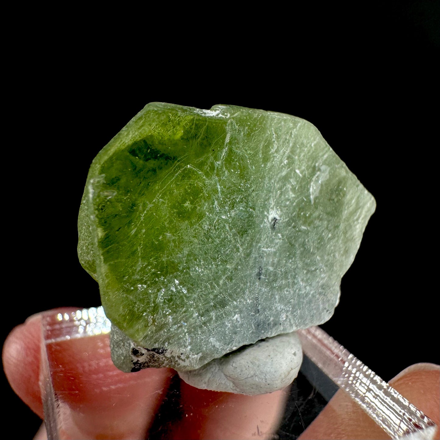 Peridot | natural terminated crystal, mineral specimen from Pakistan