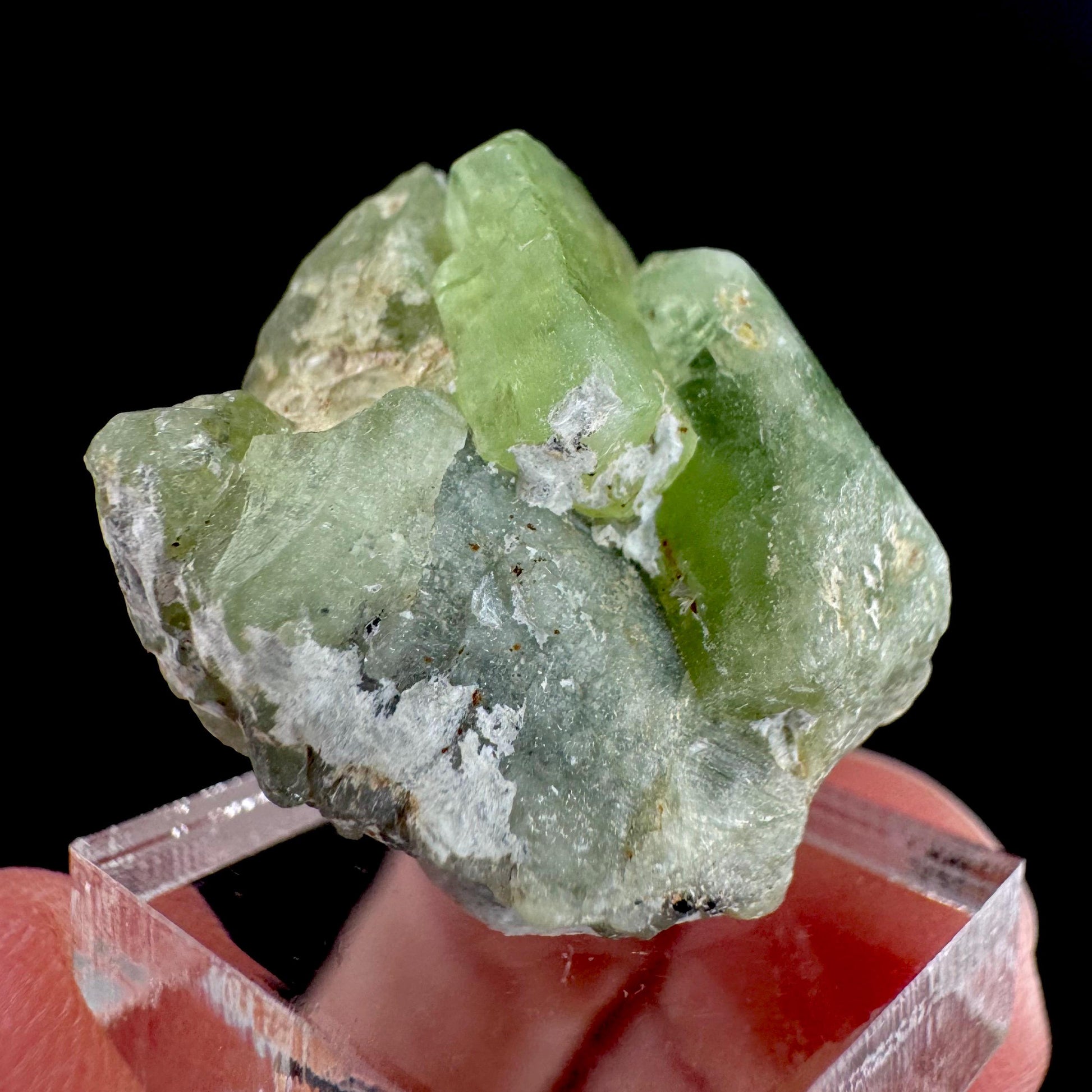 Peridot | natural terminated crystal, mineral specimen from Pakistan