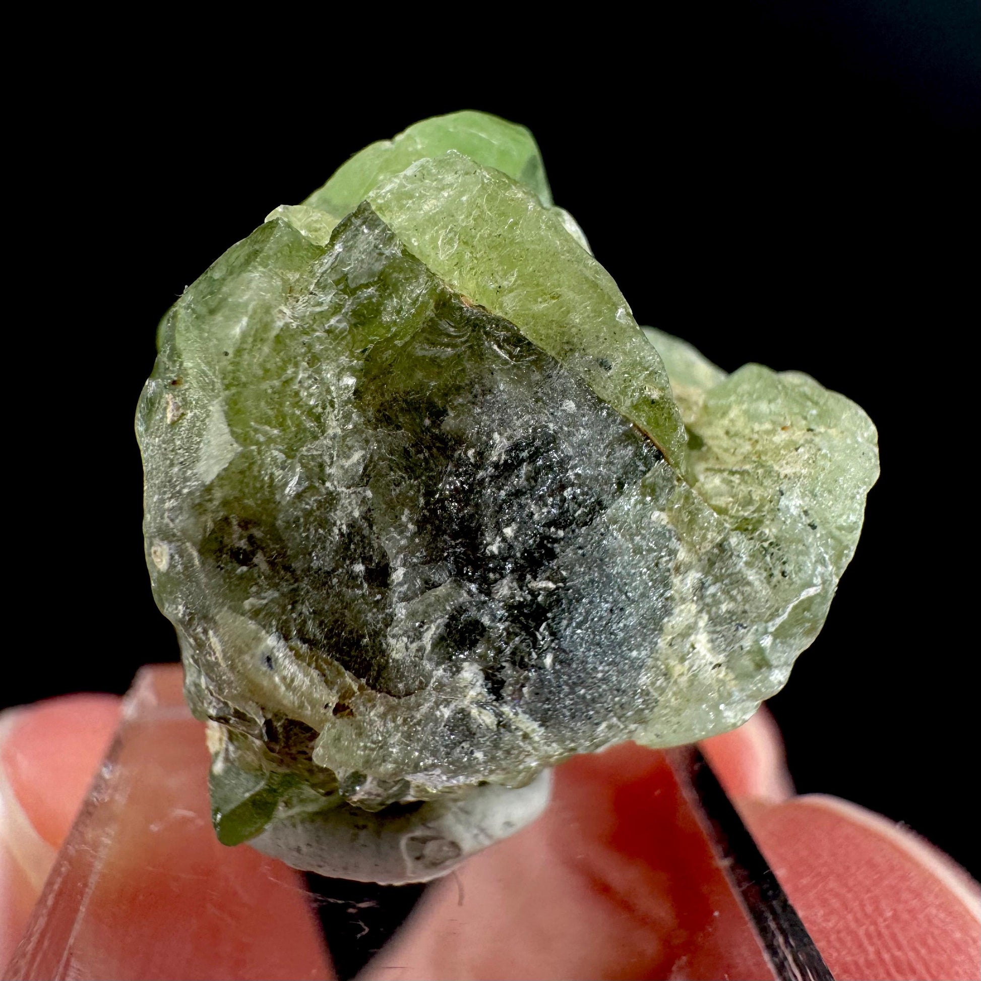 Peridot | natural terminated crystal, mineral specimen from Pakistan