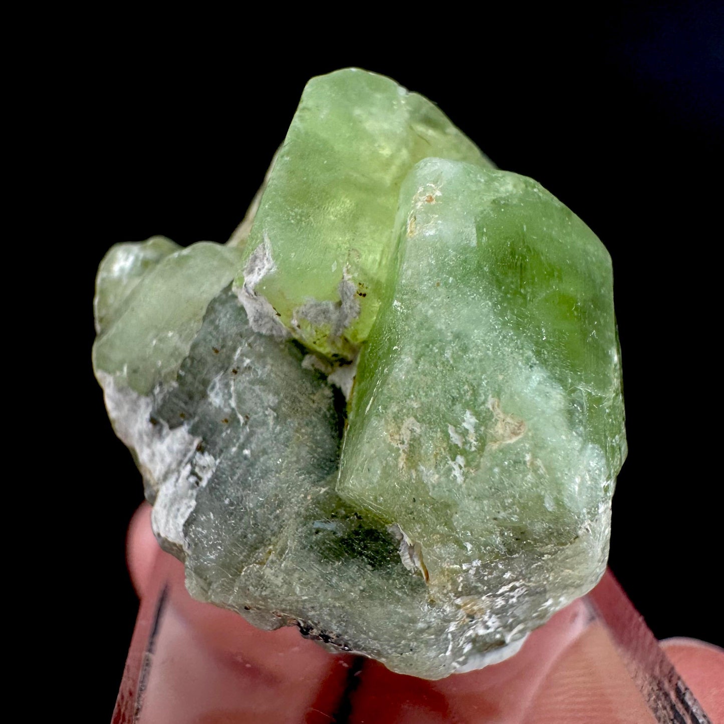 Peridot | natural terminated crystal, mineral specimen from Pakistan