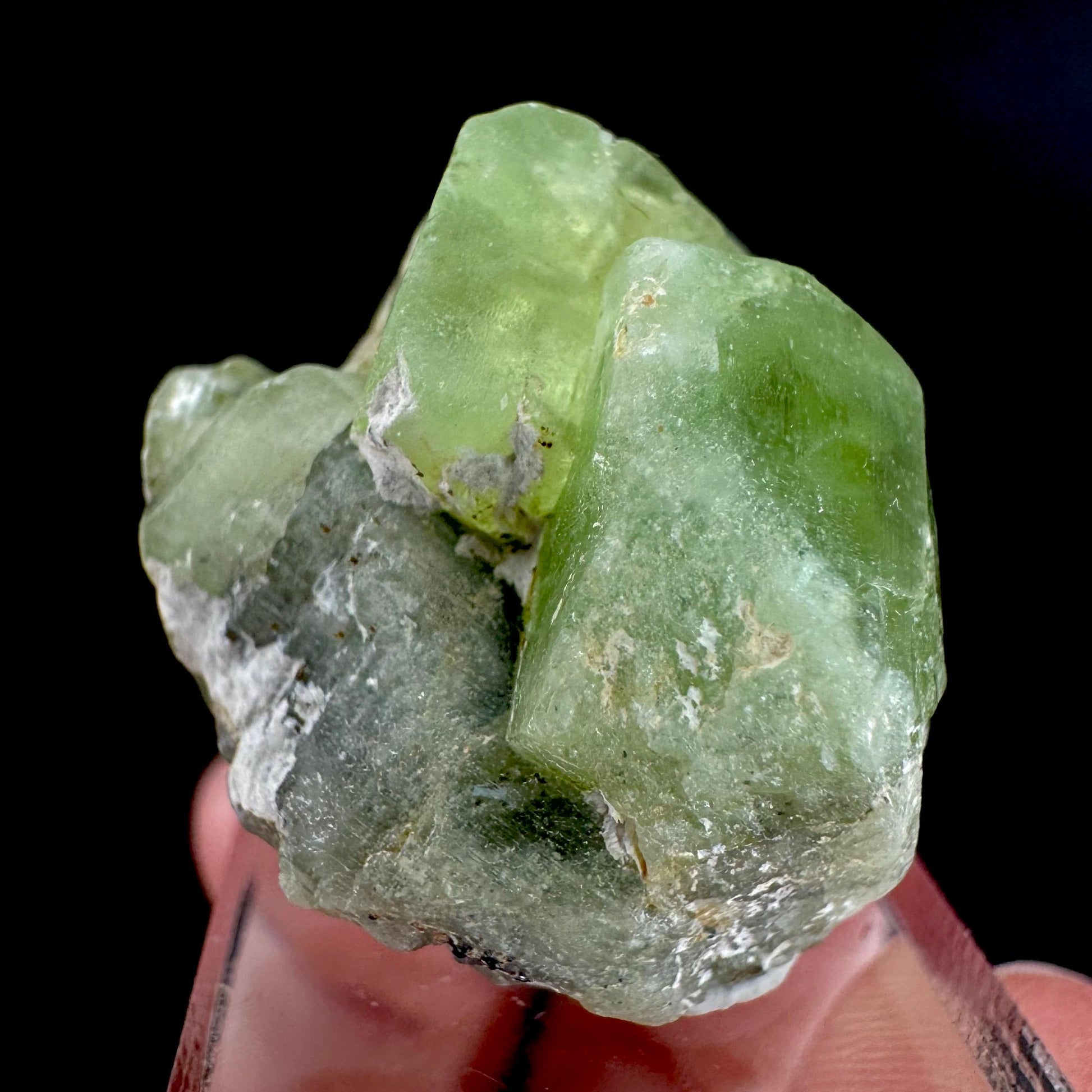 Peridot | natural terminated crystal, mineral specimen from Pakistan