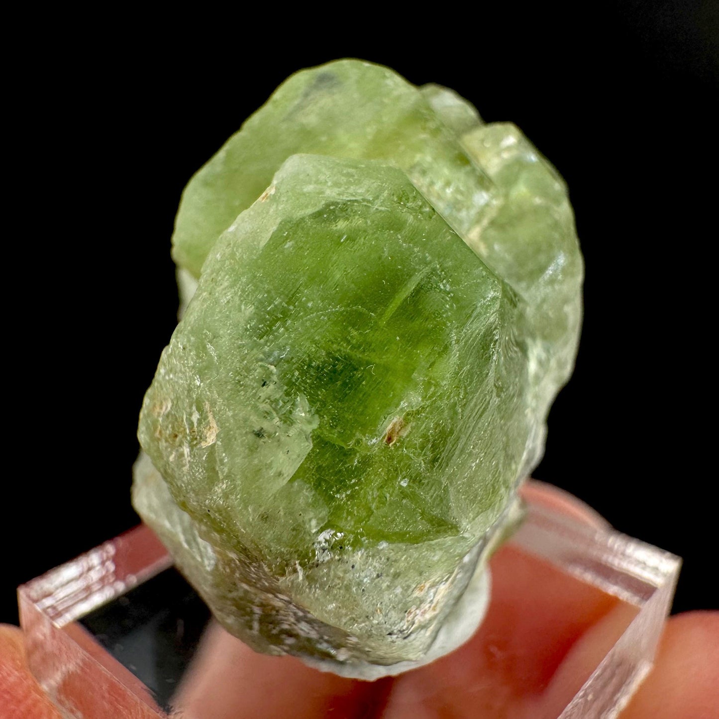 Peridot | natural terminated crystal, mineral specimen from Pakistan