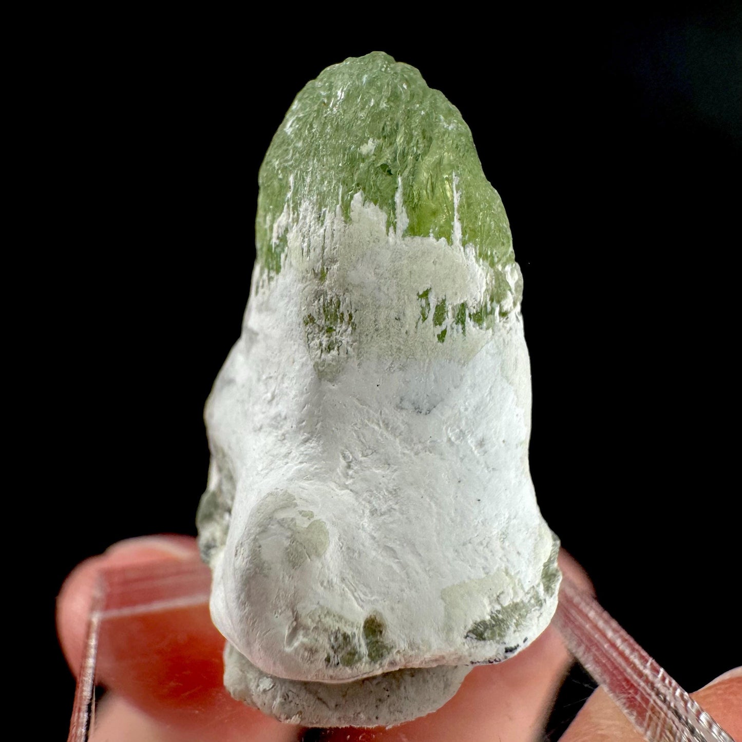 Peridot | natural terminated crystal, mineral specimen from Pakistan