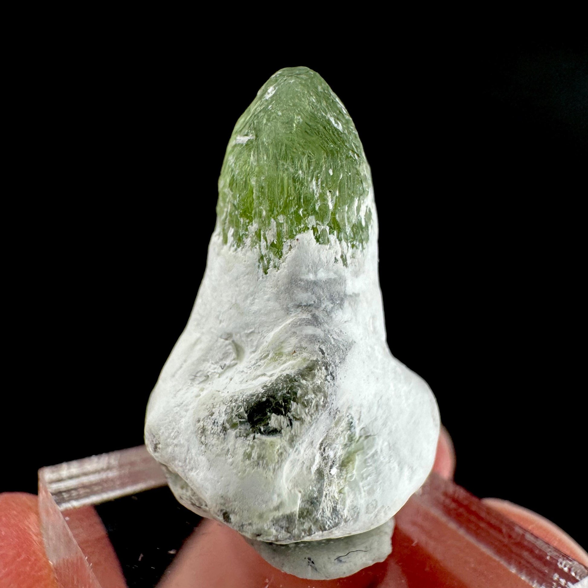 Peridot | natural terminated crystal, mineral specimen from Pakistan