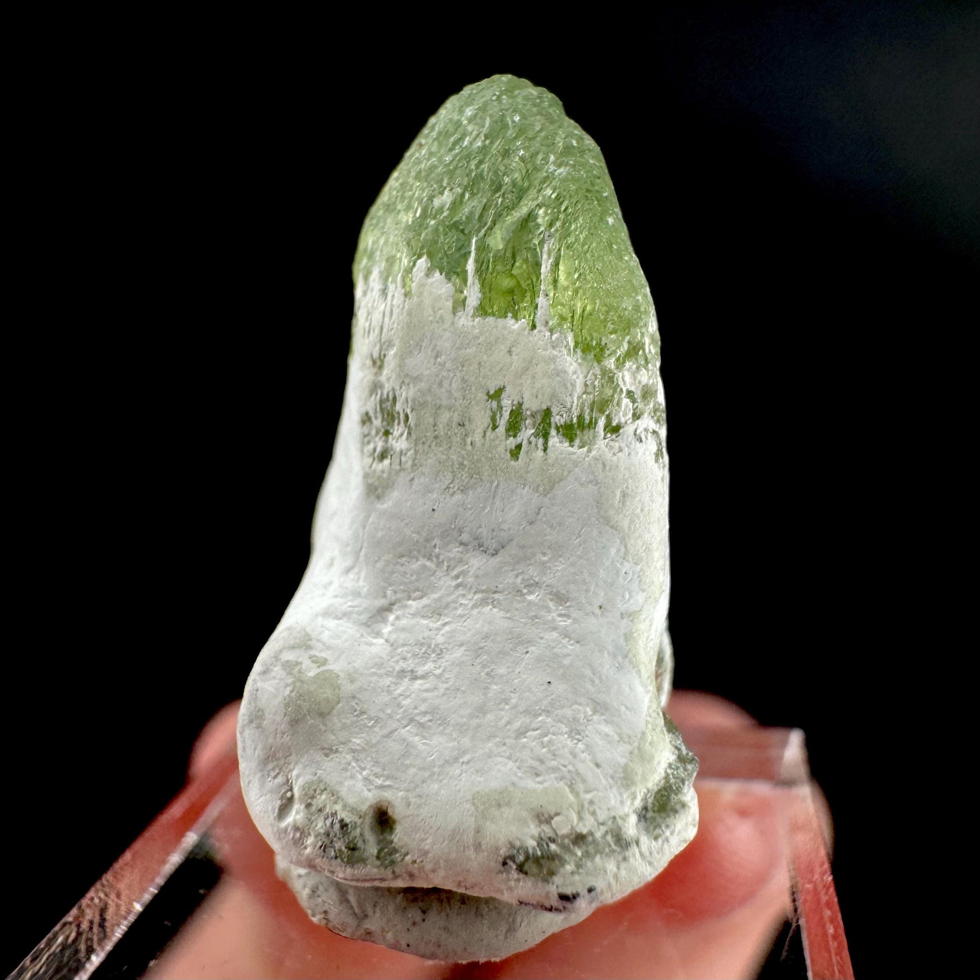 Peridot | natural terminated crystal, mineral specimen from Pakistan