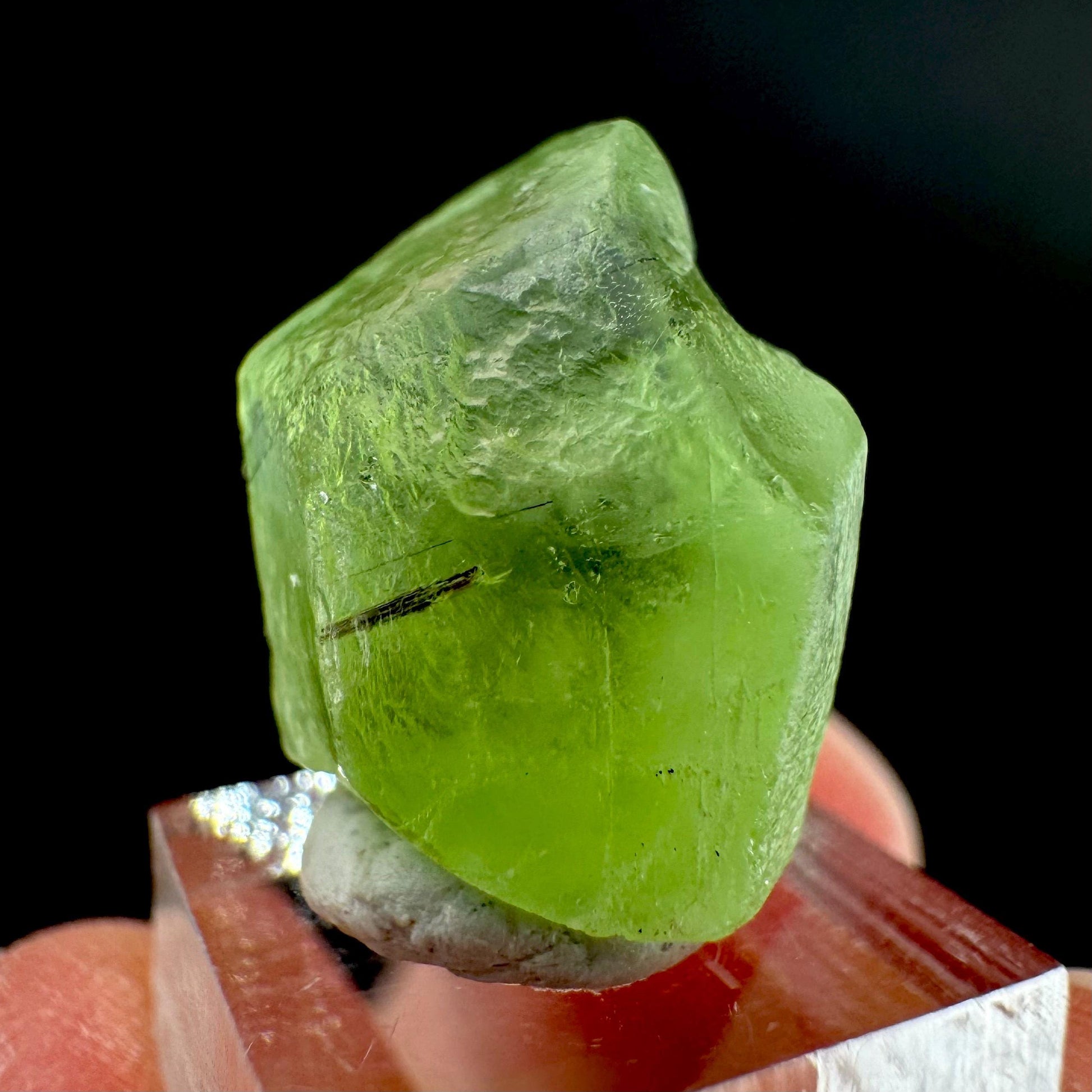 Peridot | natural terminated crystal, mineral specimen from Pakistan
