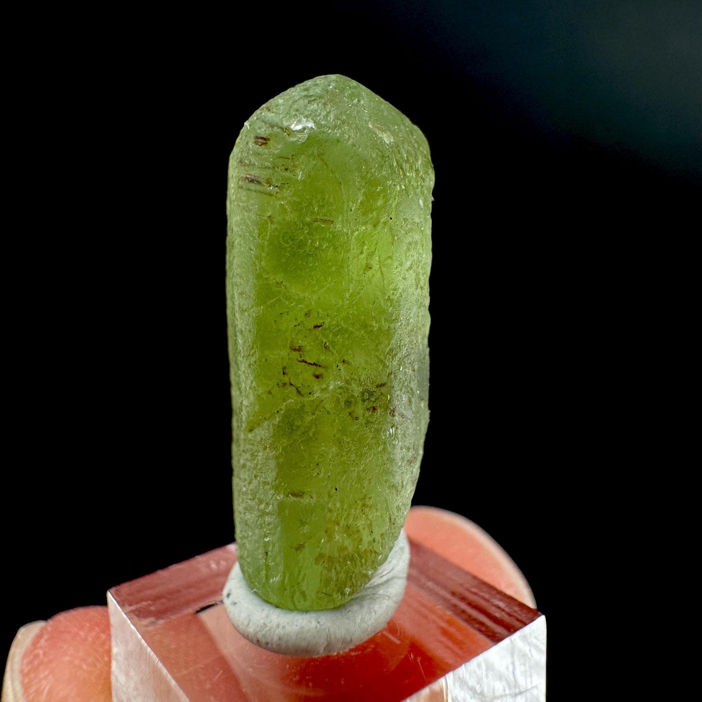 Peridot | natural terminated crystal, mineral specimen from Pakistan
