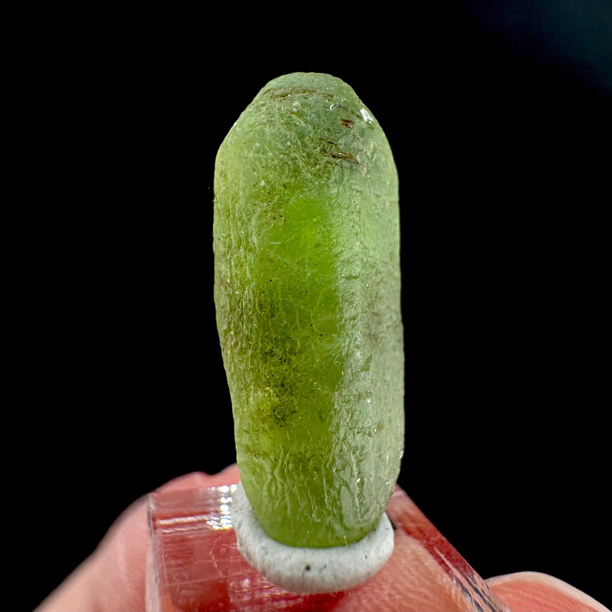 Peridot | natural terminated crystal, mineral specimen from Pakistan