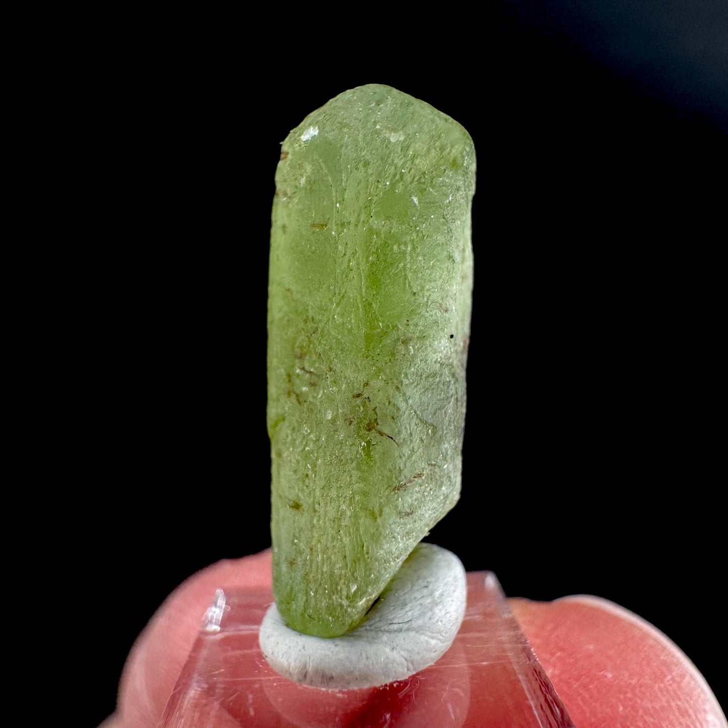 Peridot | natural terminated crystal, mineral specimen from Pakistan