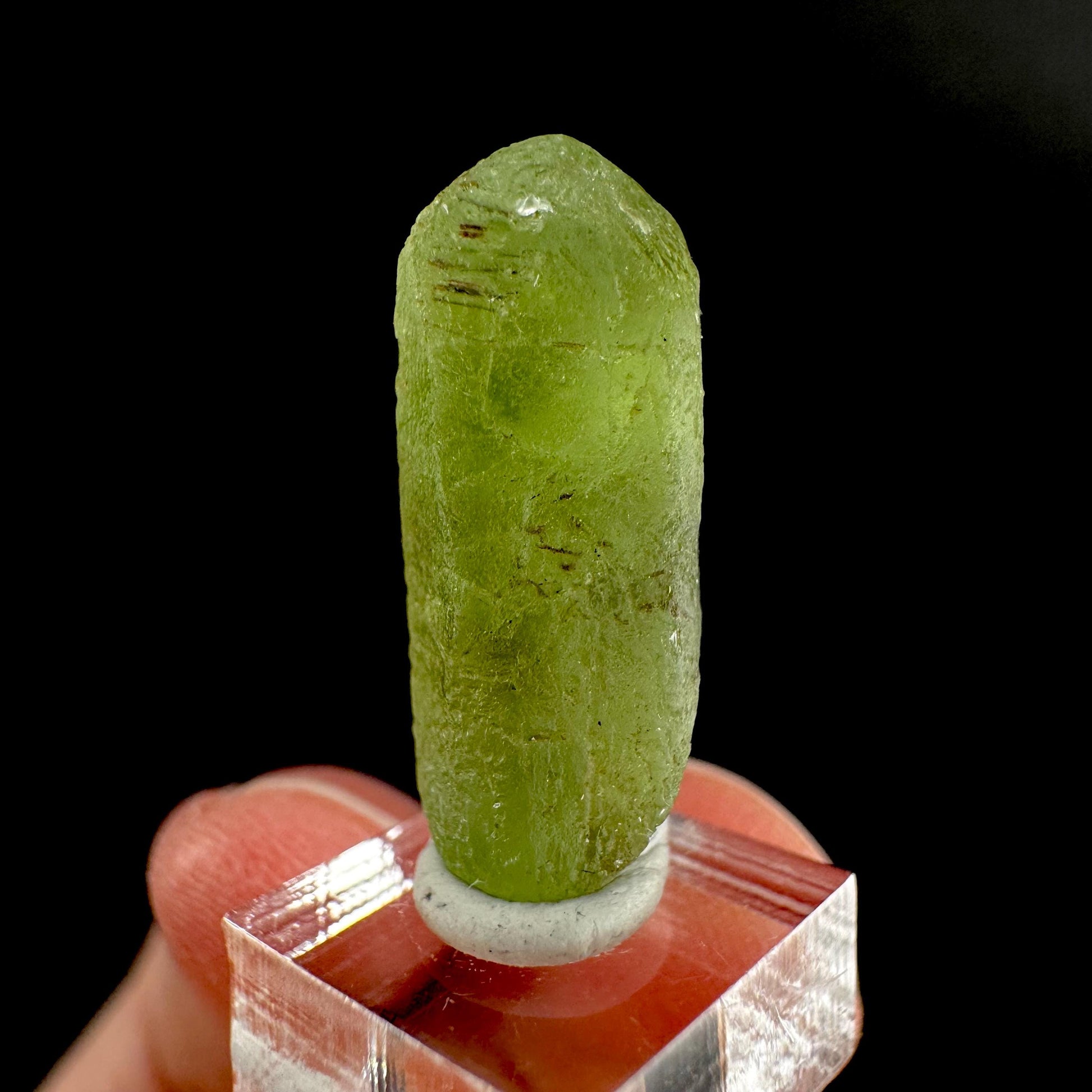 Peridot | natural terminated crystal, mineral specimen from Pakistan
