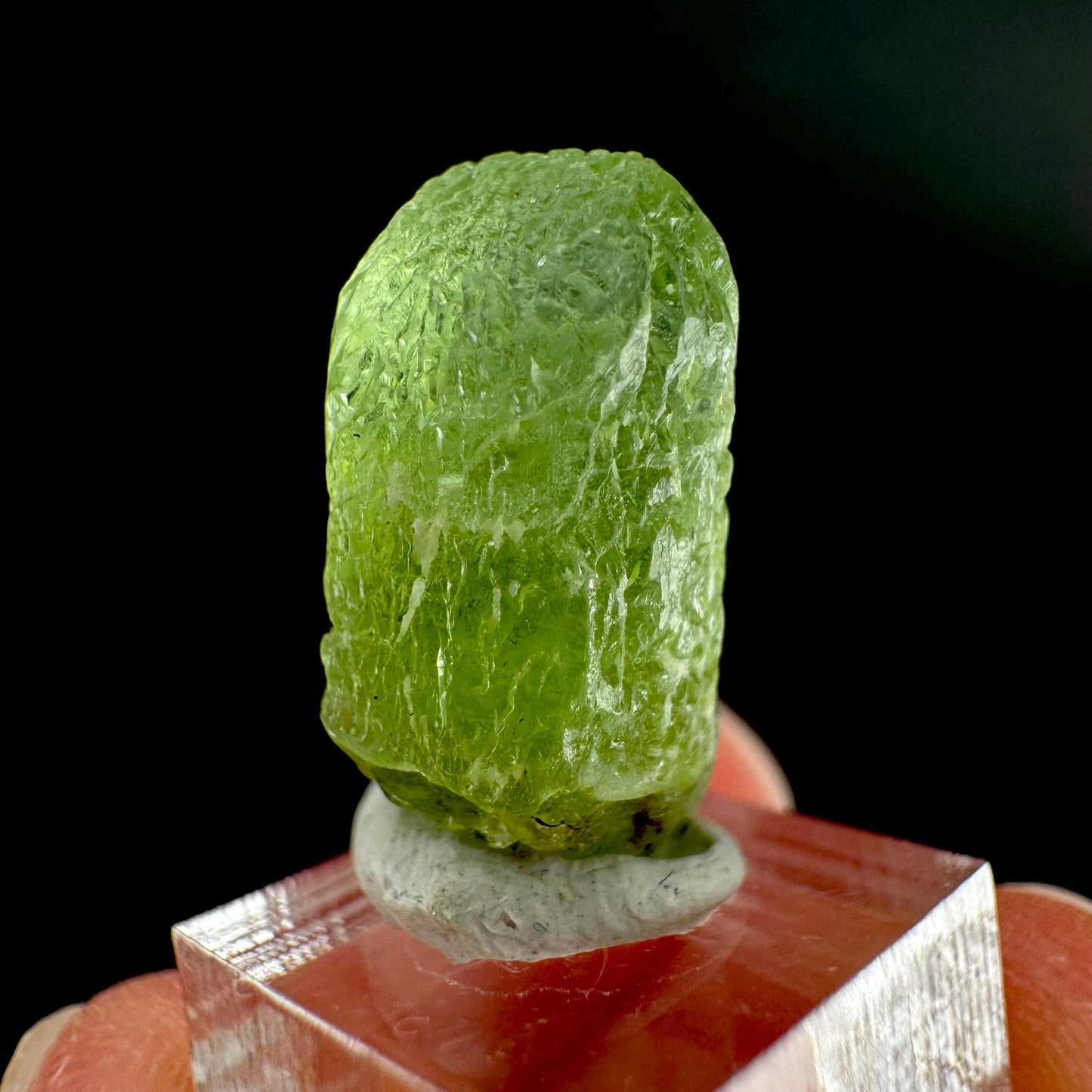 Peridot | natural terminated crystal, mineral specimen from Pakistan