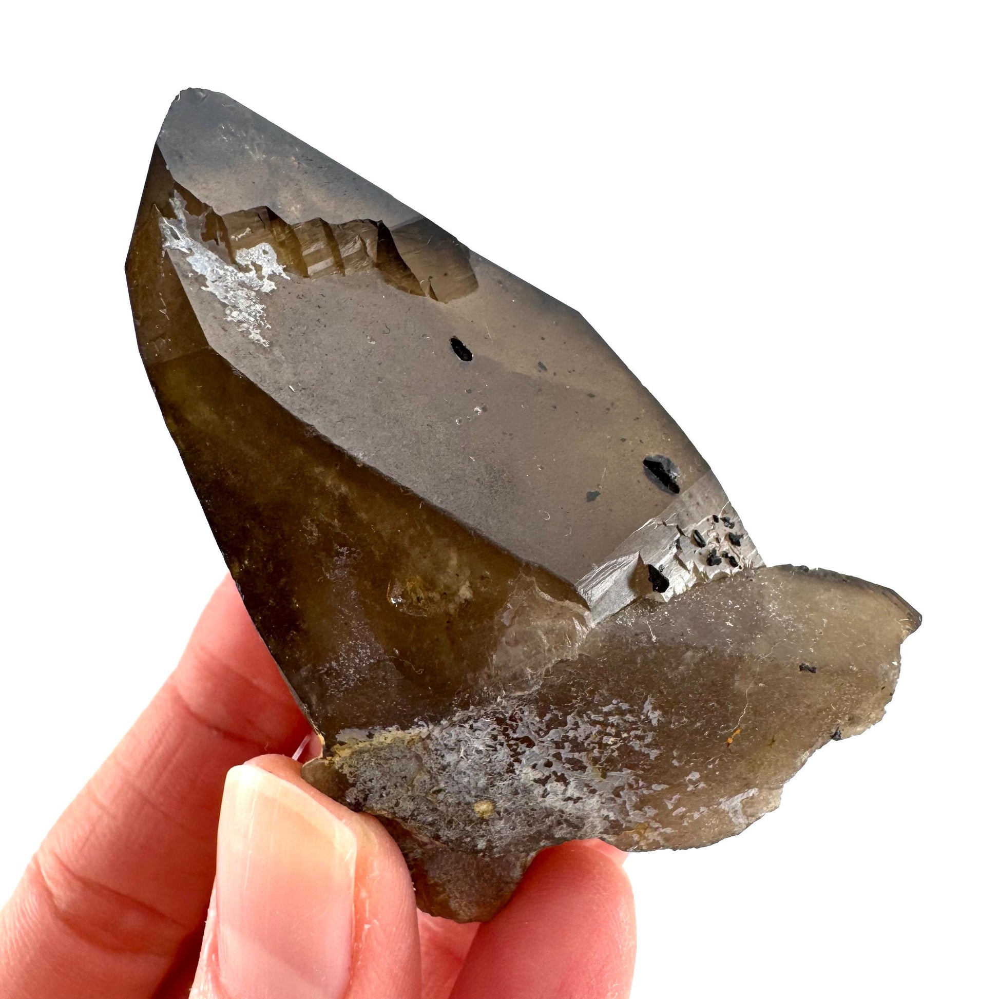 Namibian Smoky Quartz Crystal Point | Raw Mineral Specimen