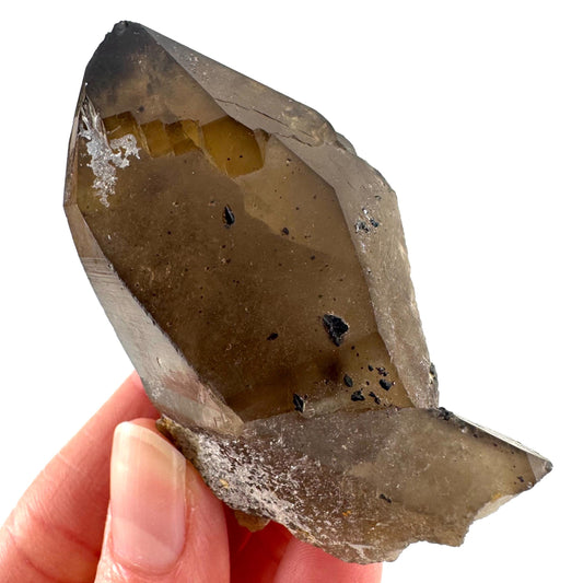 Namibian Smoky Quartz Crystal Point | Raw Mineral Specimen