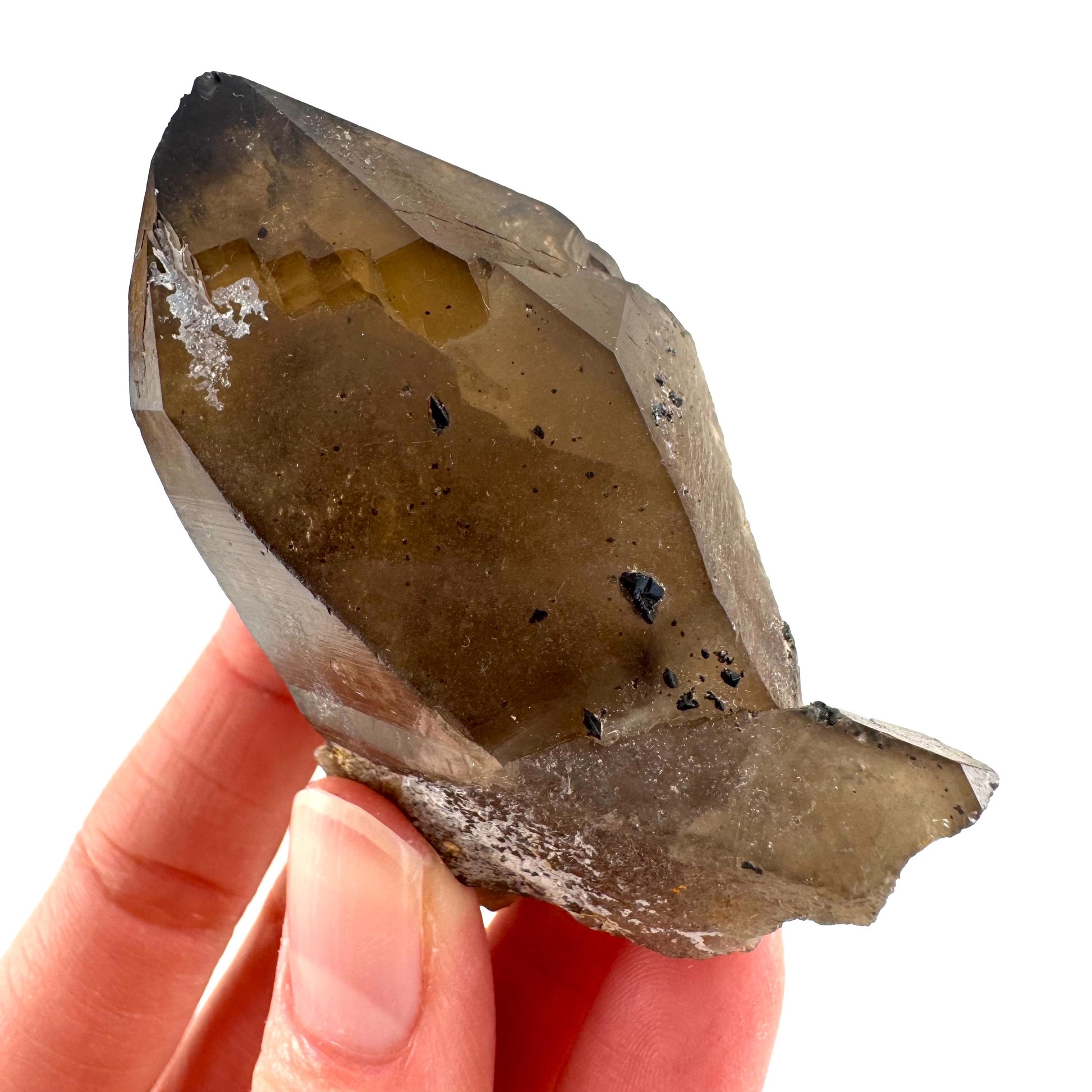 Namibian Smoky Quartz Crystal Point | Raw Mineral Specimen