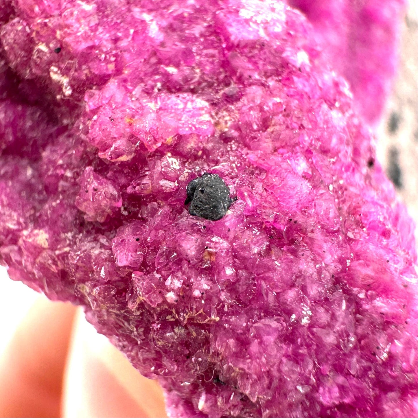 Cobaltoan Calcite w/ Heterogenite | natural pink crystal cluster, mineral specimen