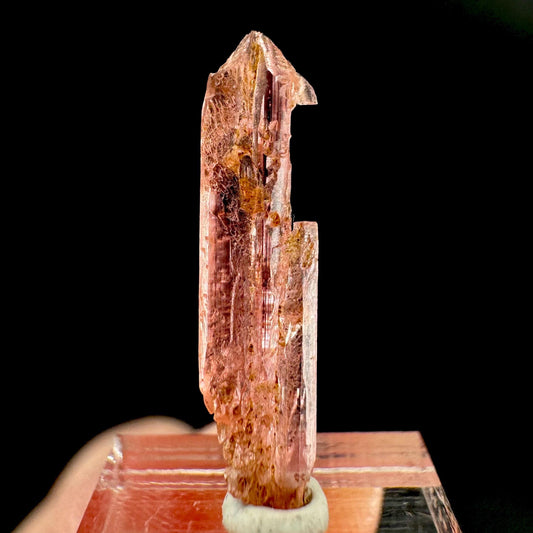 Vayrynenite | Pink crystal, rare mineral specimen from Pakistan