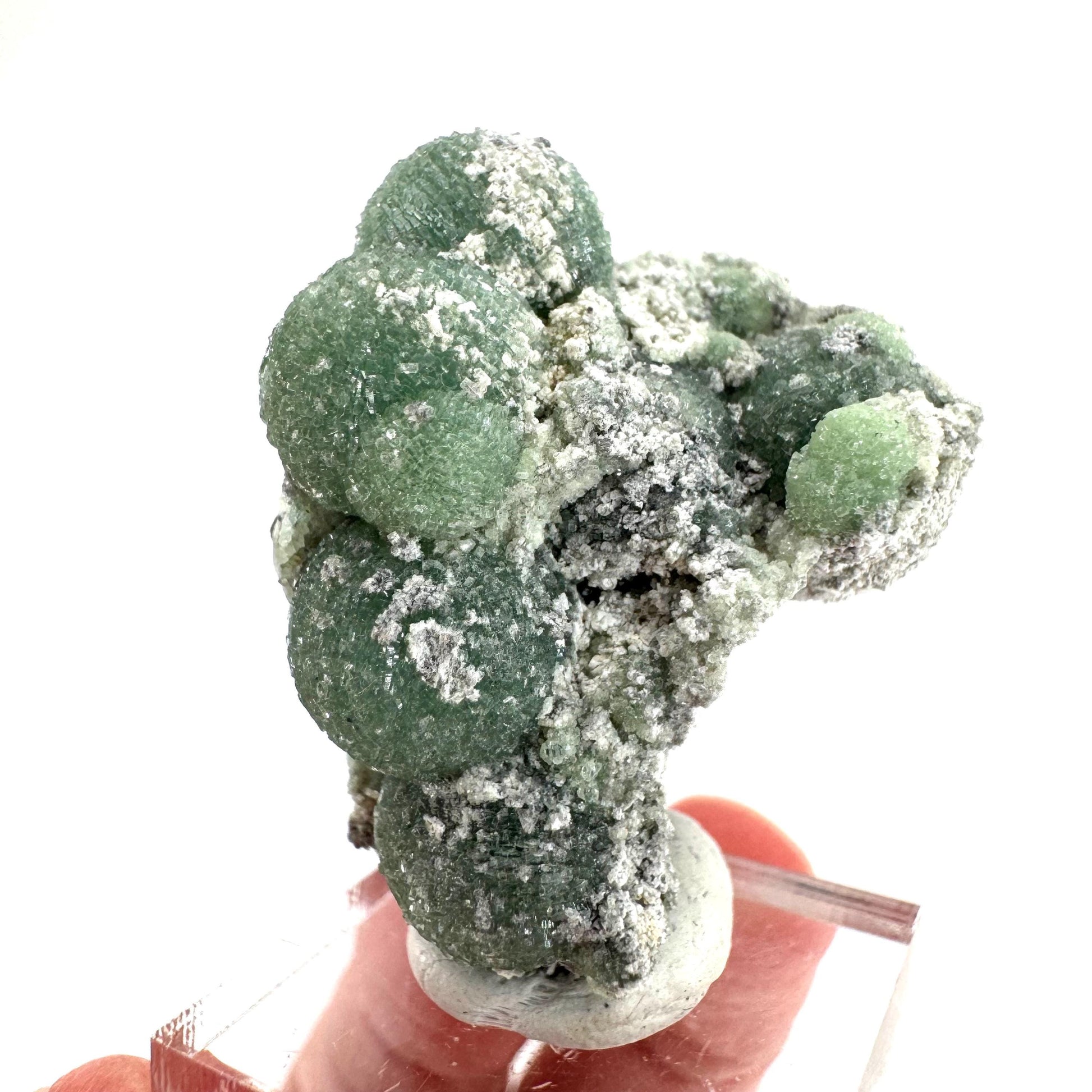 Wavellite (Arkansas, USA) | green crystal cluster, mineral specimen