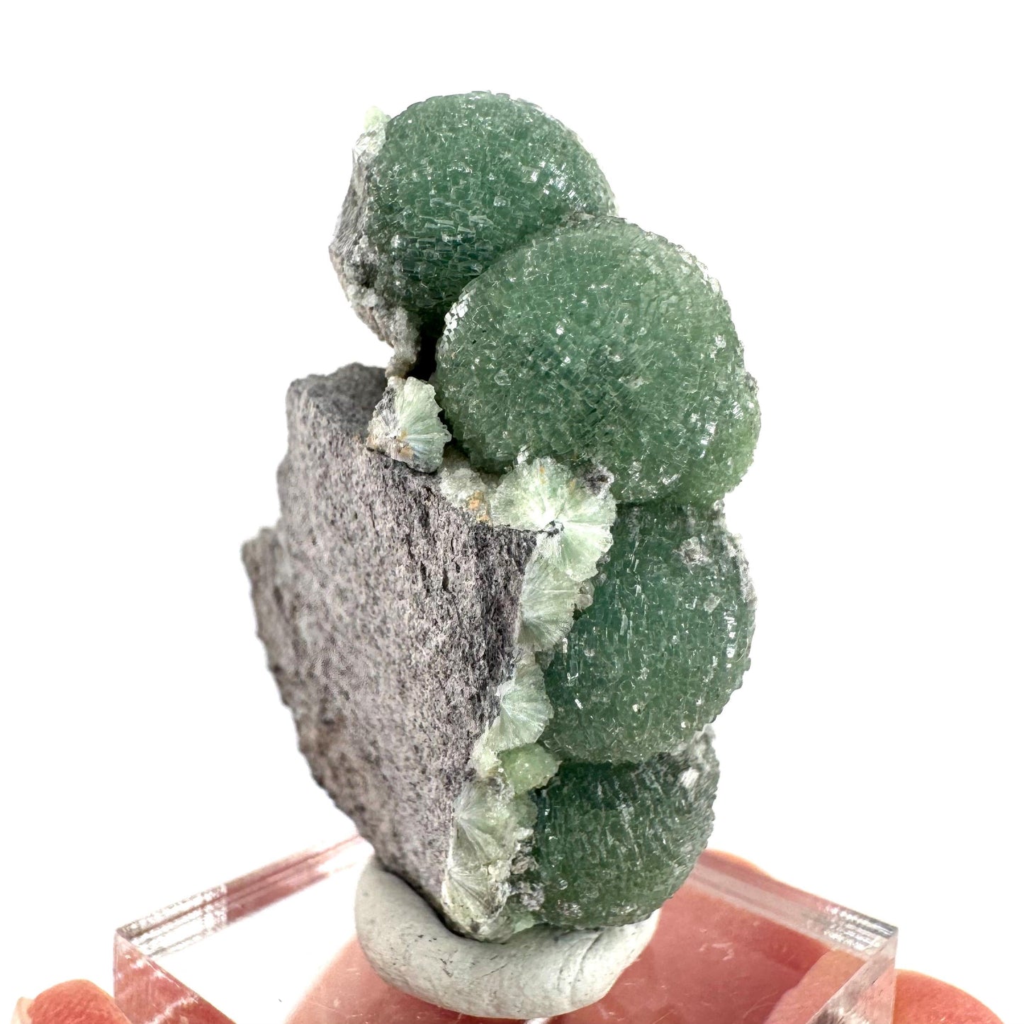 Wavellite (Arkansas, USA) | green crystal cluster, mineral specimen