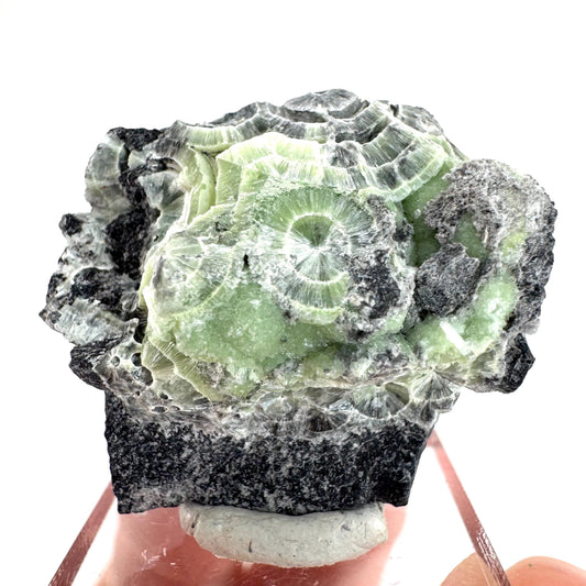 Wavellite (Arkansas, USA) | green crystal cluster, mineral specimen