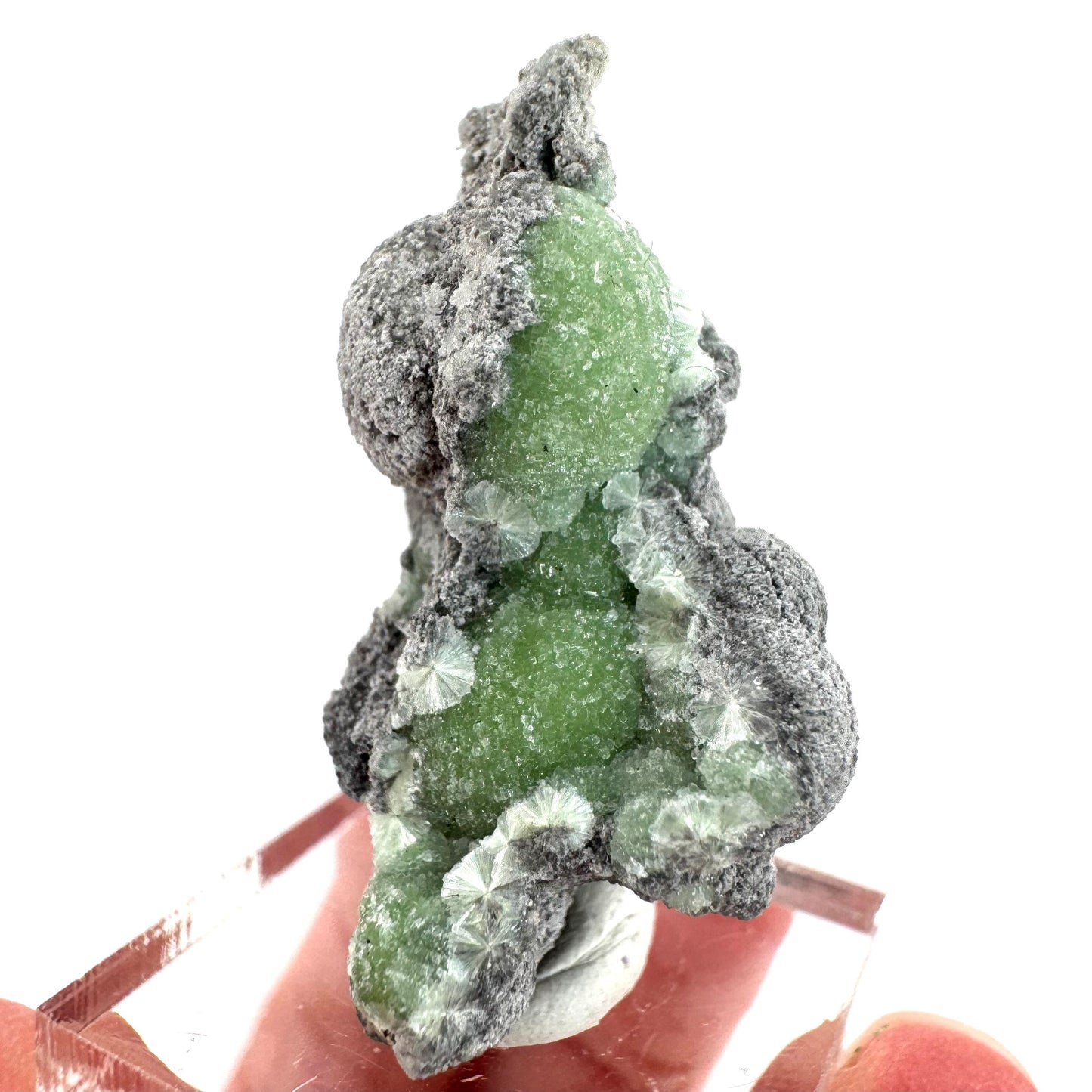 Wavellite (Arkansas, USA) | green crystal cluster, mineral specimen